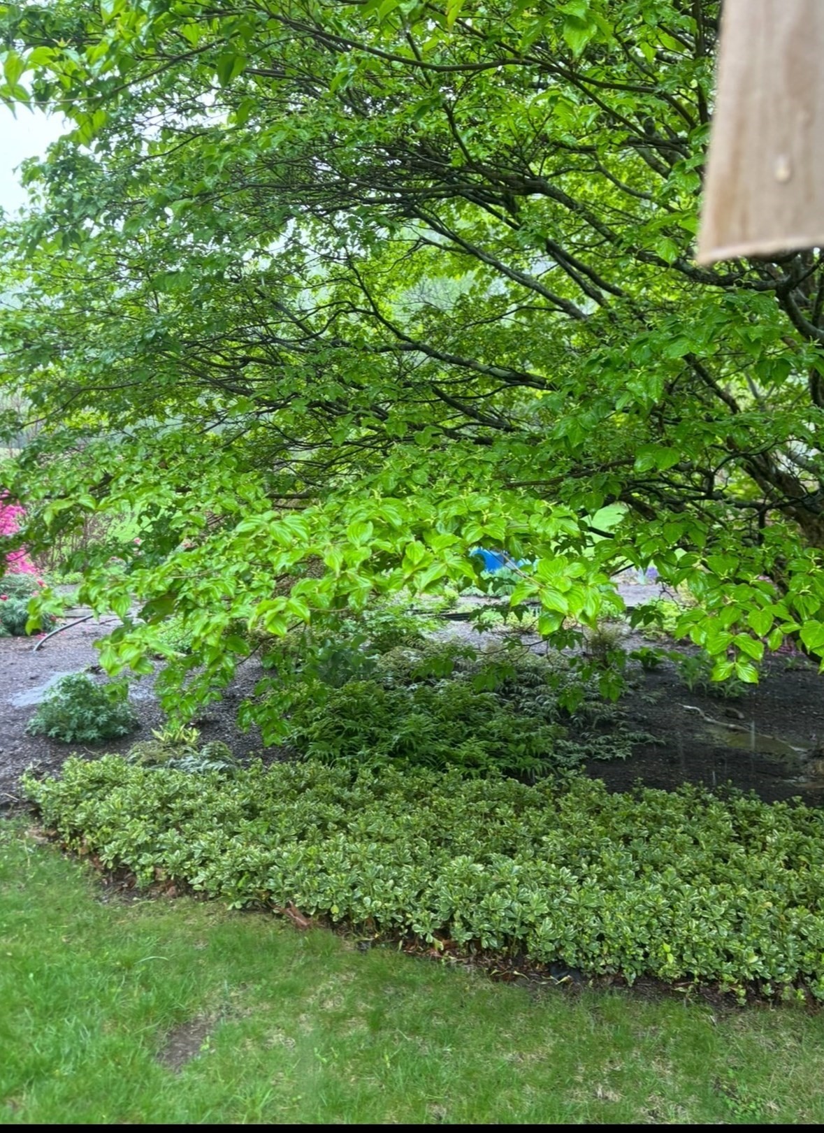 143 Millard Rd, North Attleboro, MA 02760 - Image 37