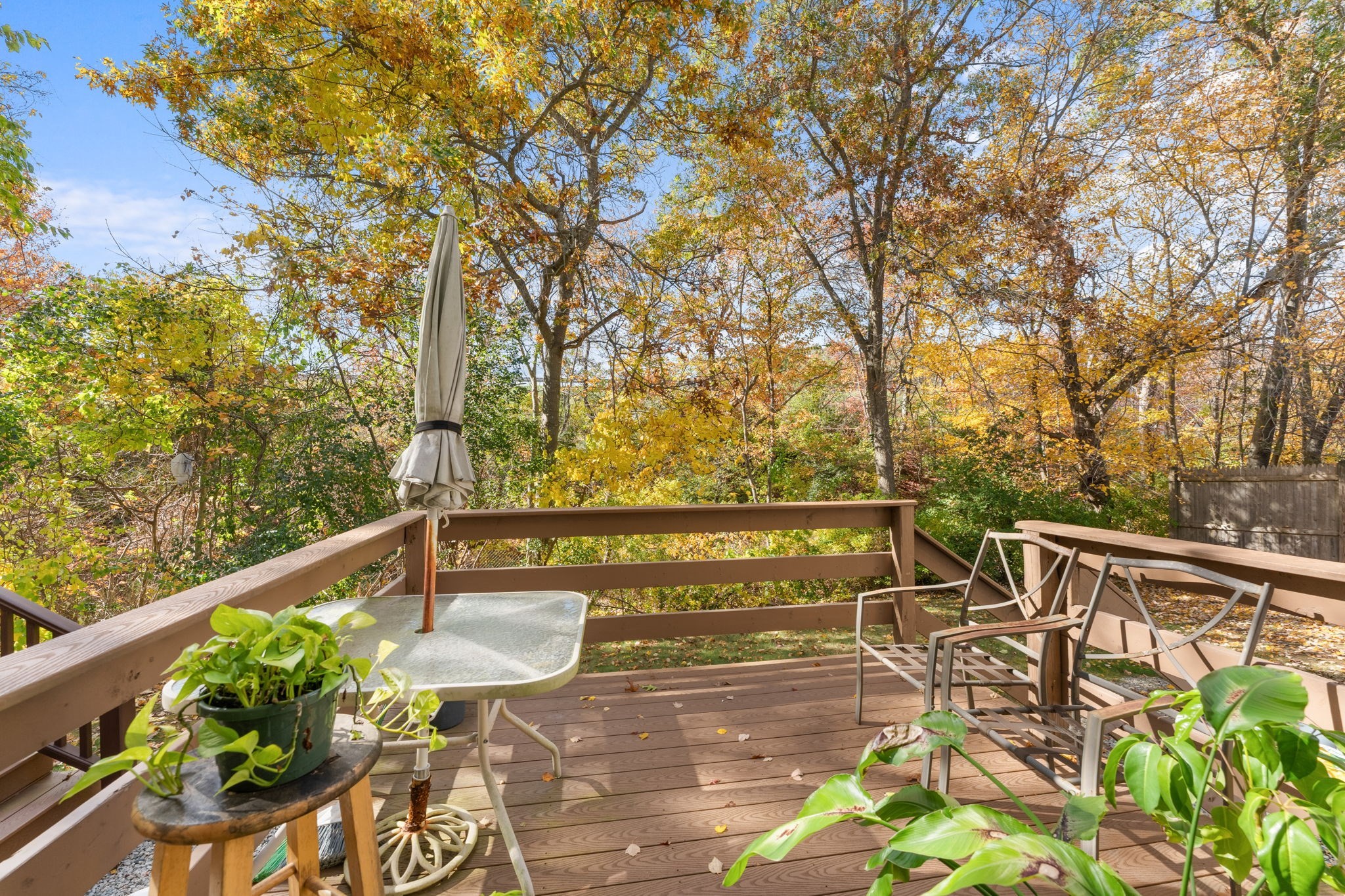 902 Irving Rd Unit 902, Randolph, MA 02368 - Image 21