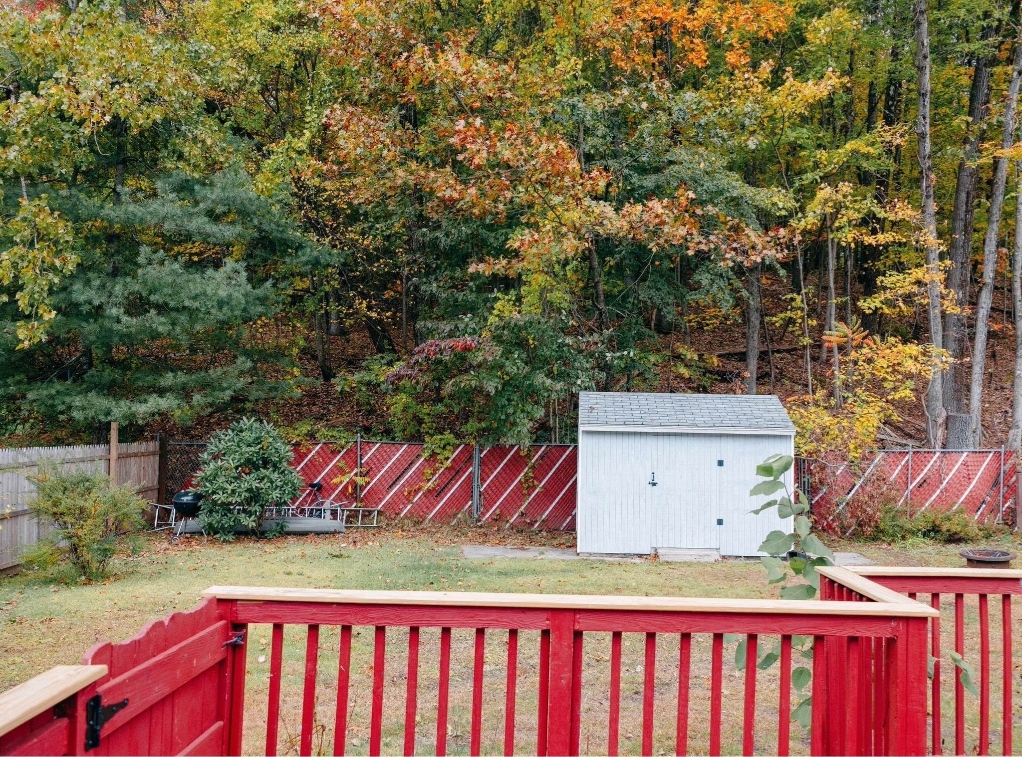 206 Treetop Ave, Springfield, MA 01118 - Image 3