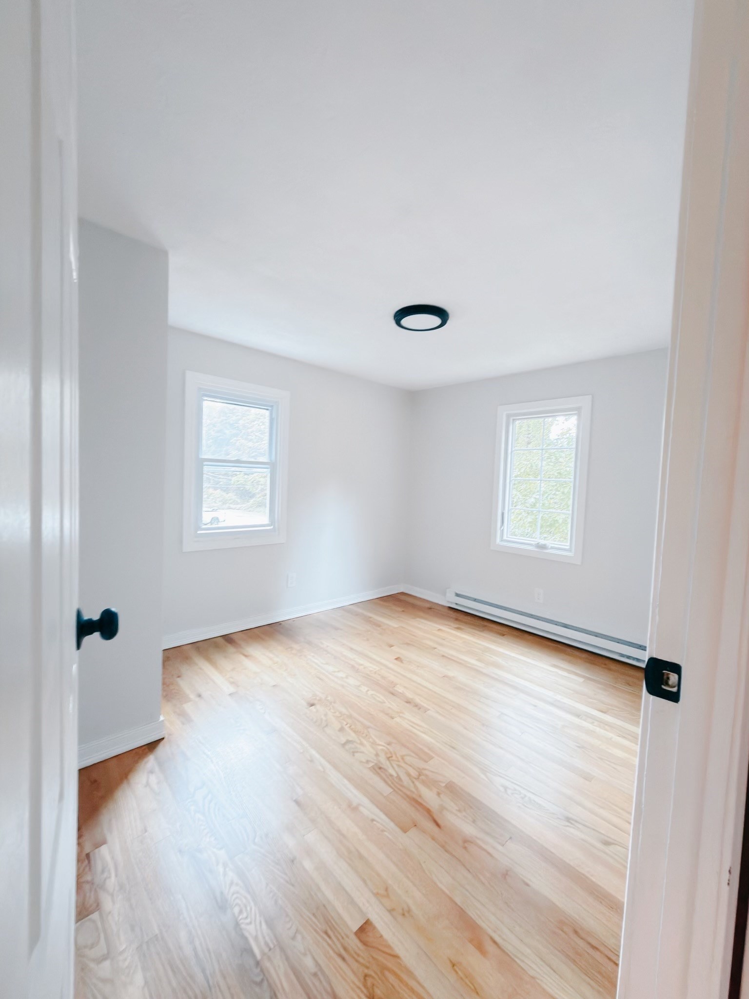 206 Treetop Ave, Springfield, MA 01118 - Image 9