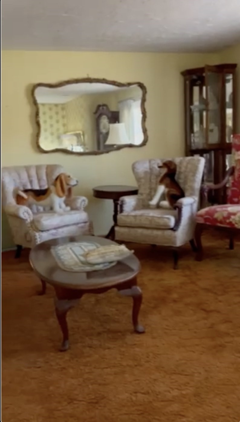 38 Joan Rd, Hyde Park, Boston, MA 02136 - Image 5