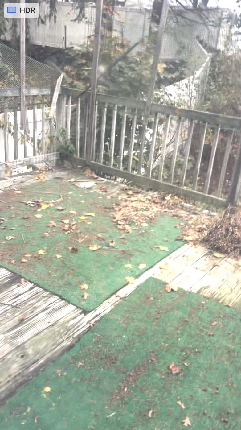 38 Joan Rd, Hyde Park, Boston, MA 02136 - Image 10