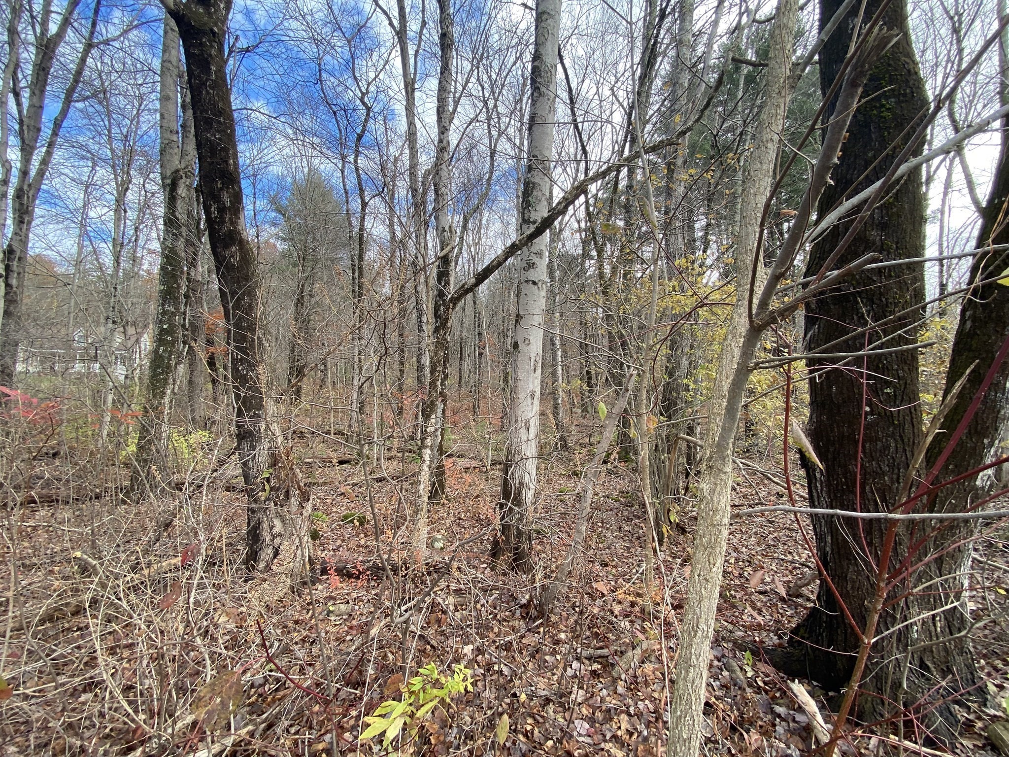 3 Washington Rd, Brimfield, MA 01010 - Image 2