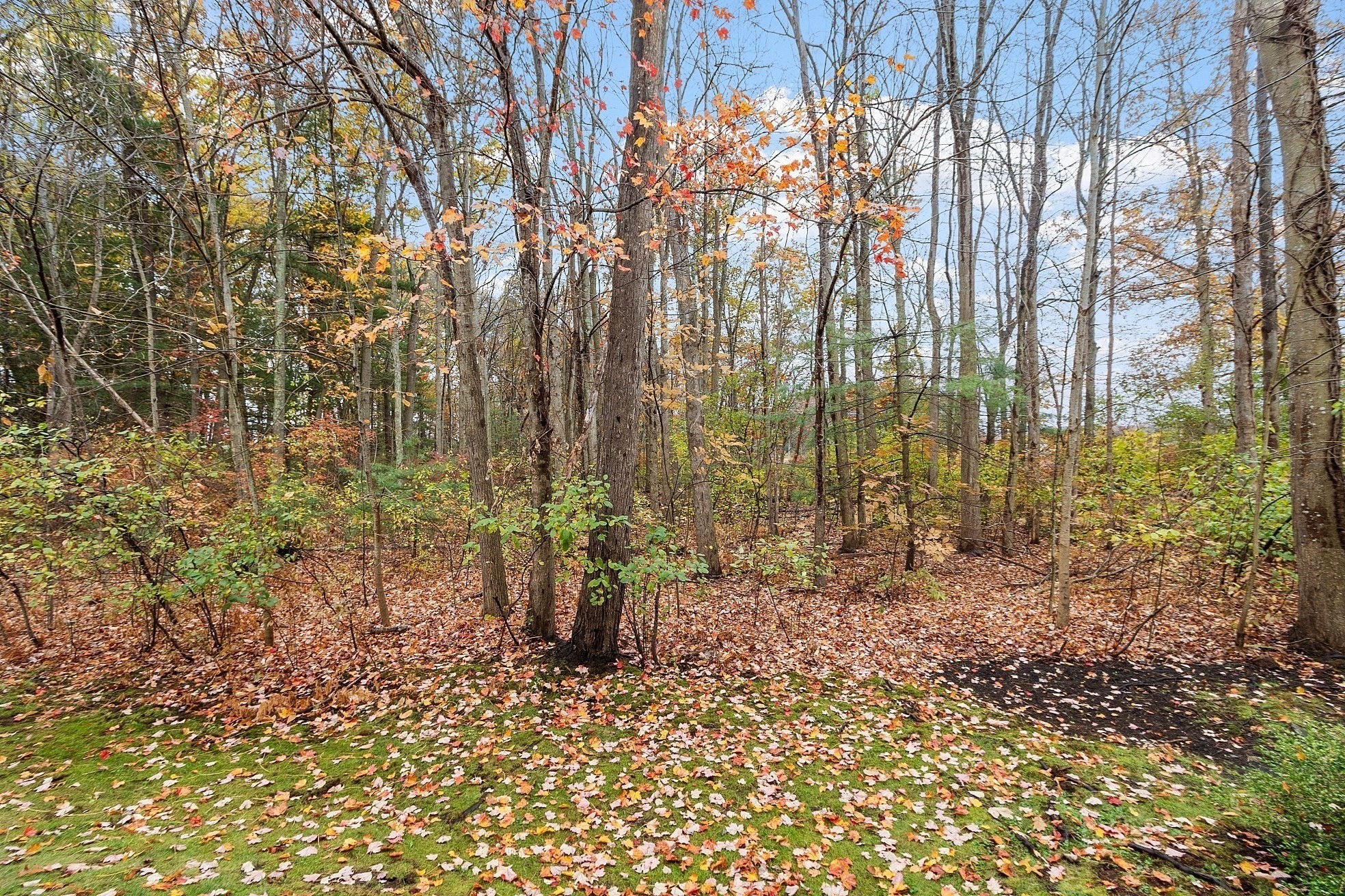 28 Partridge Lane Unit 28, Lynnfield, MA 01940 - Image 37