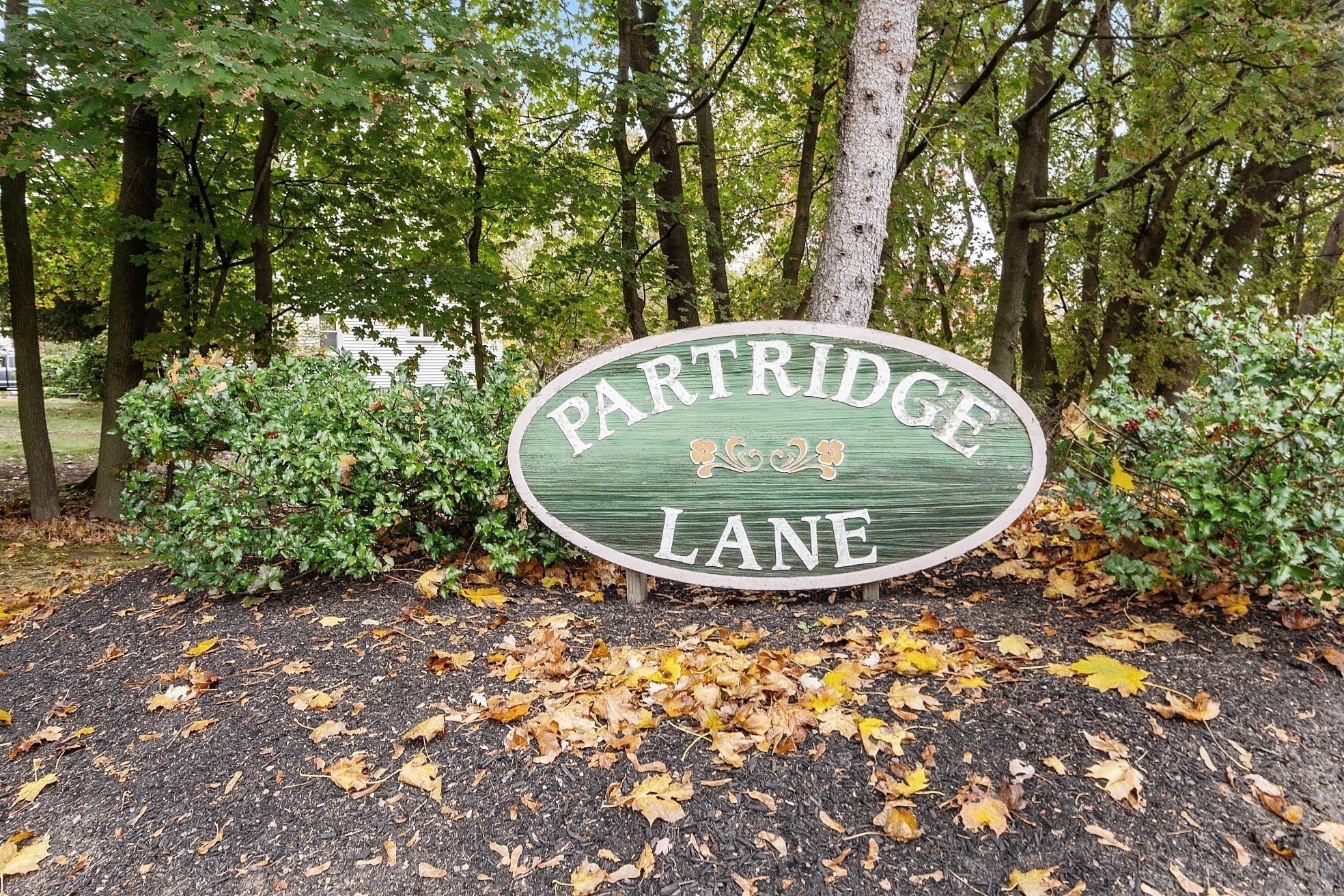 28 Partridge Lane Unit 28, Lynnfield, MA 01940 - Image 41