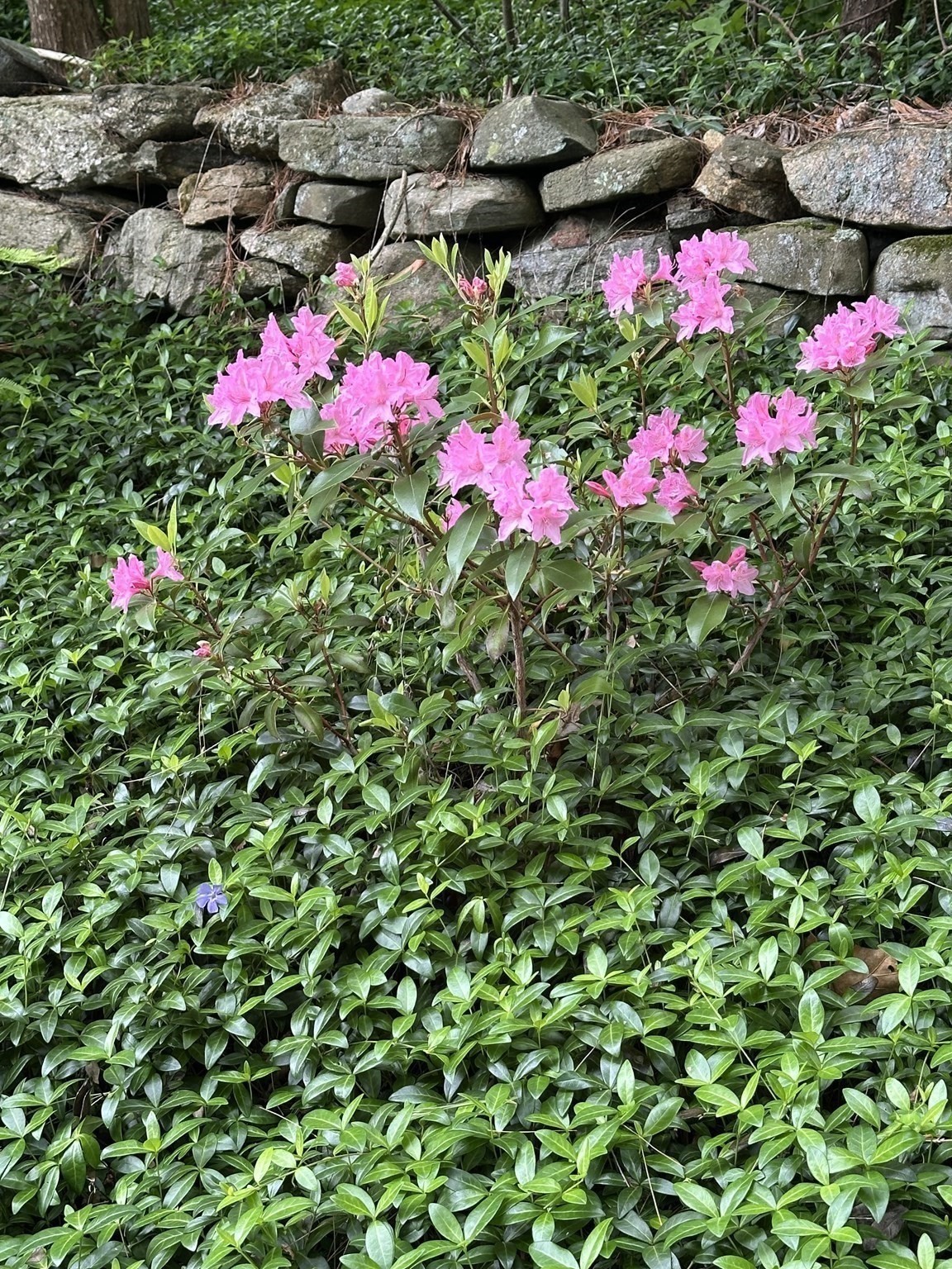 124 Brimfield Road, Monson, MA 01057 - Image 23