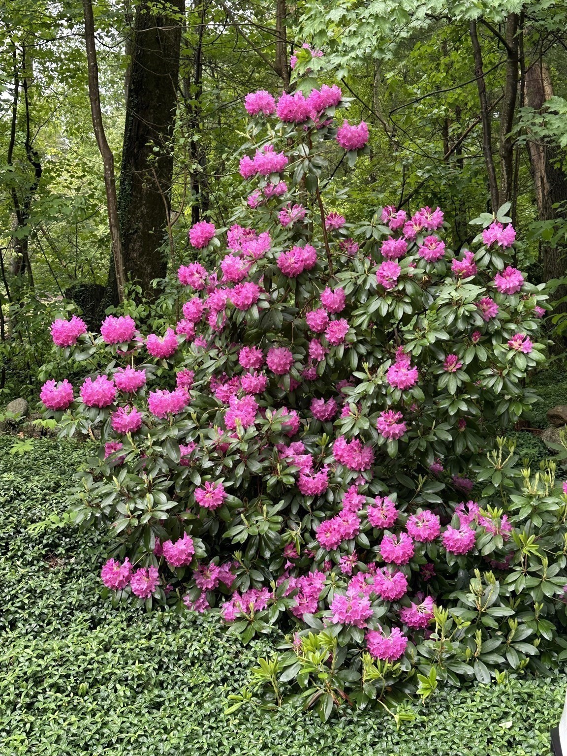 124 Brimfield Road, Monson, MA 01057 - Image 24