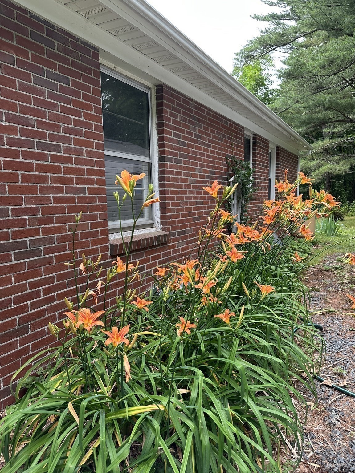 124 Brimfield Road, Monson, MA 01057 - Image 25