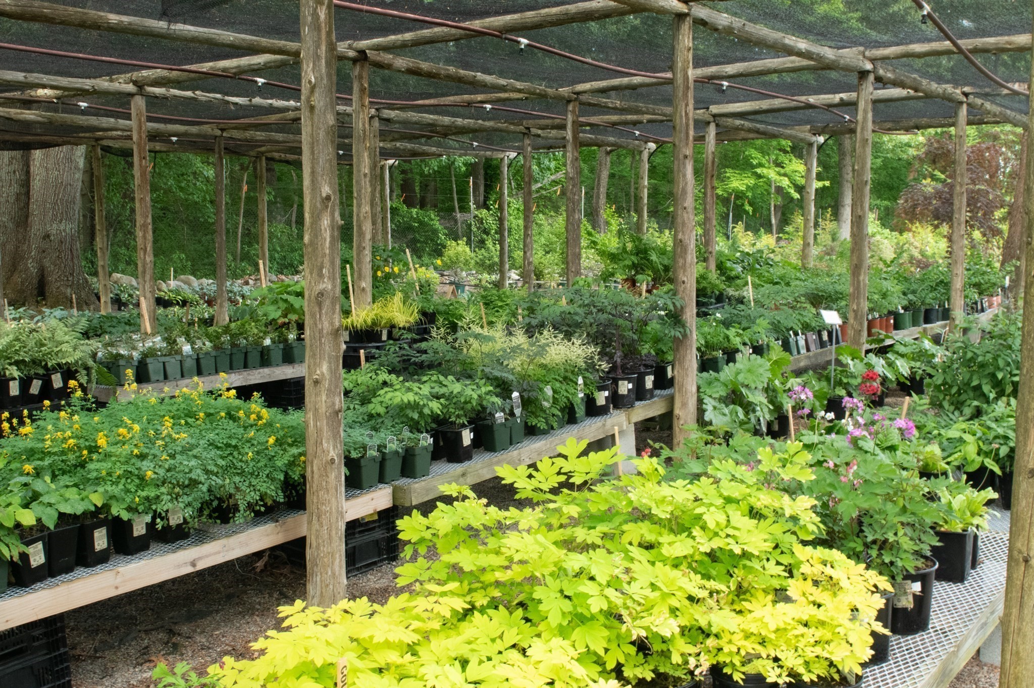 373 N Franklin St, Holbrook, MA 02343 - Image 2