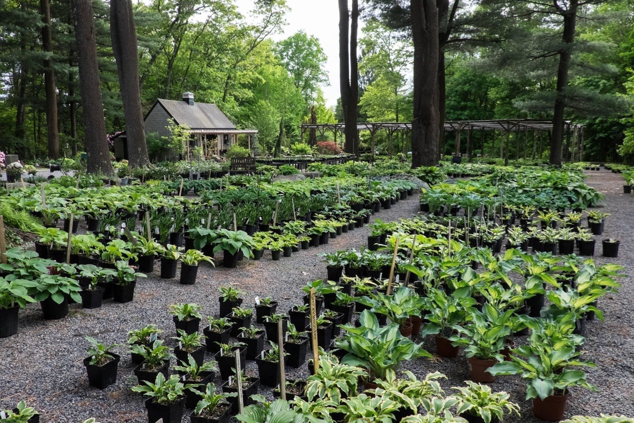 373 N Franklin St, Holbrook, MA 02343 - Image 3