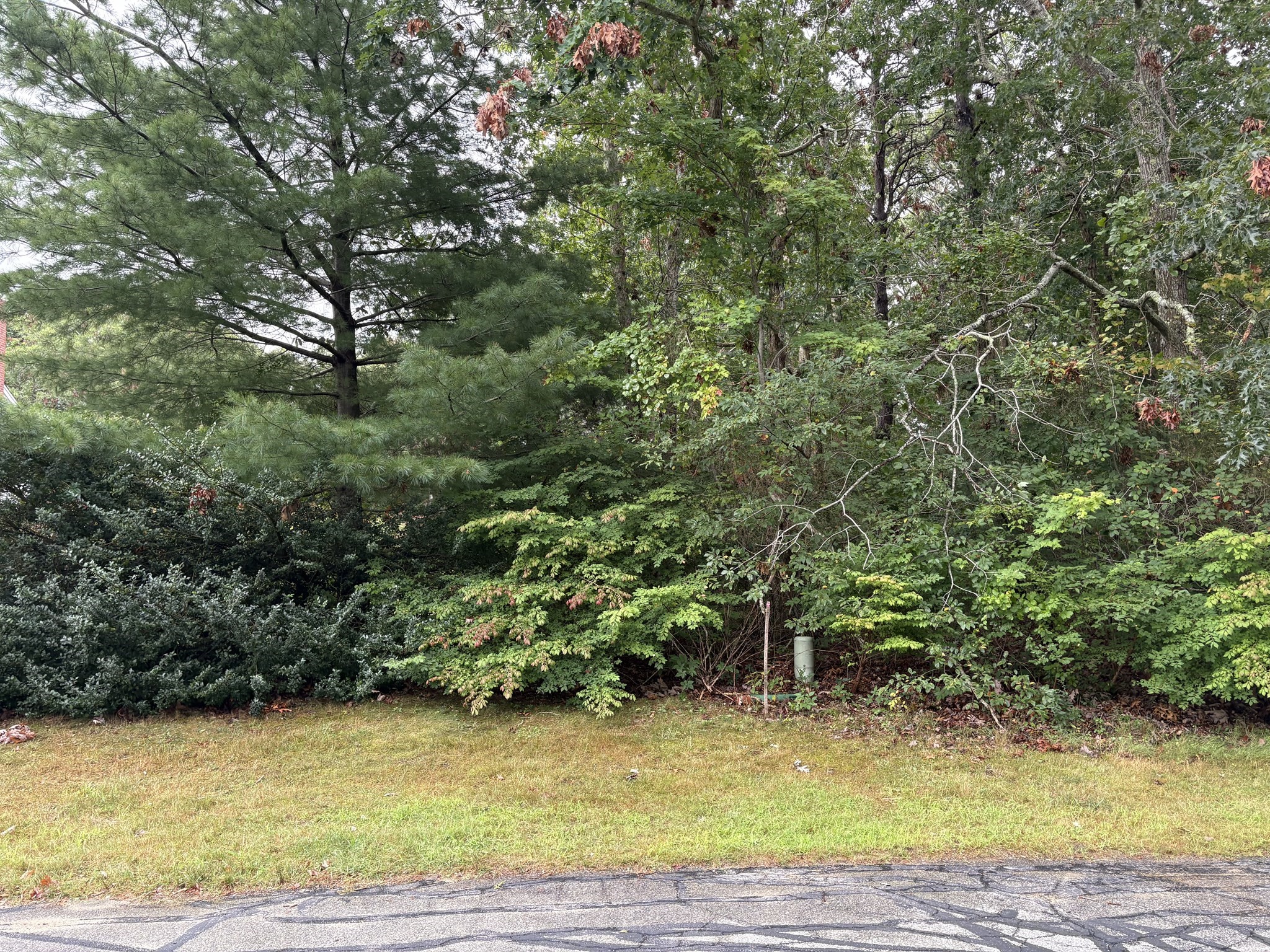 360 Plymouth St, Holbrook, MA 02343 - Image 11