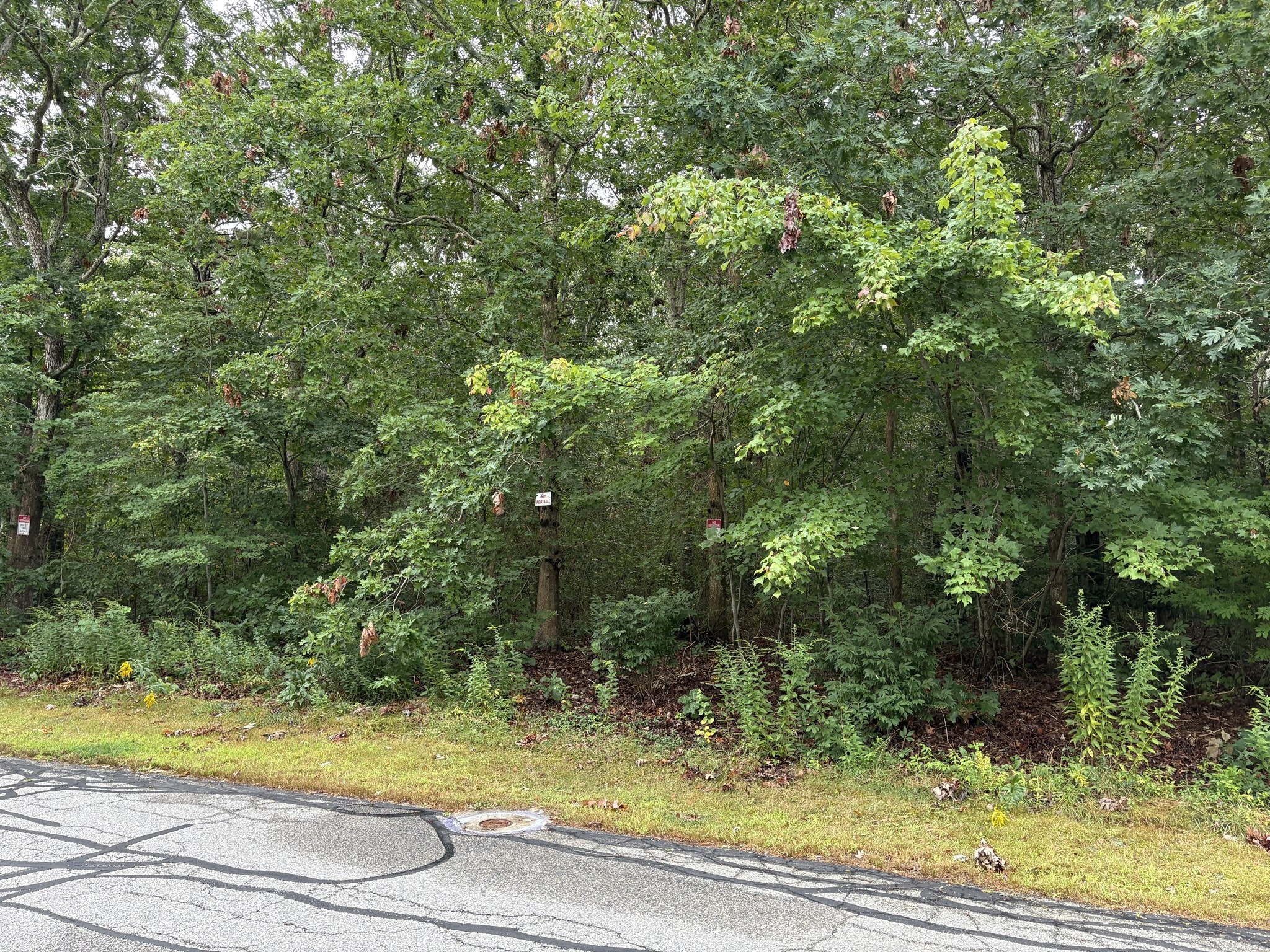 360 Plymouth St, Holbrook, MA 02343 - Image 12