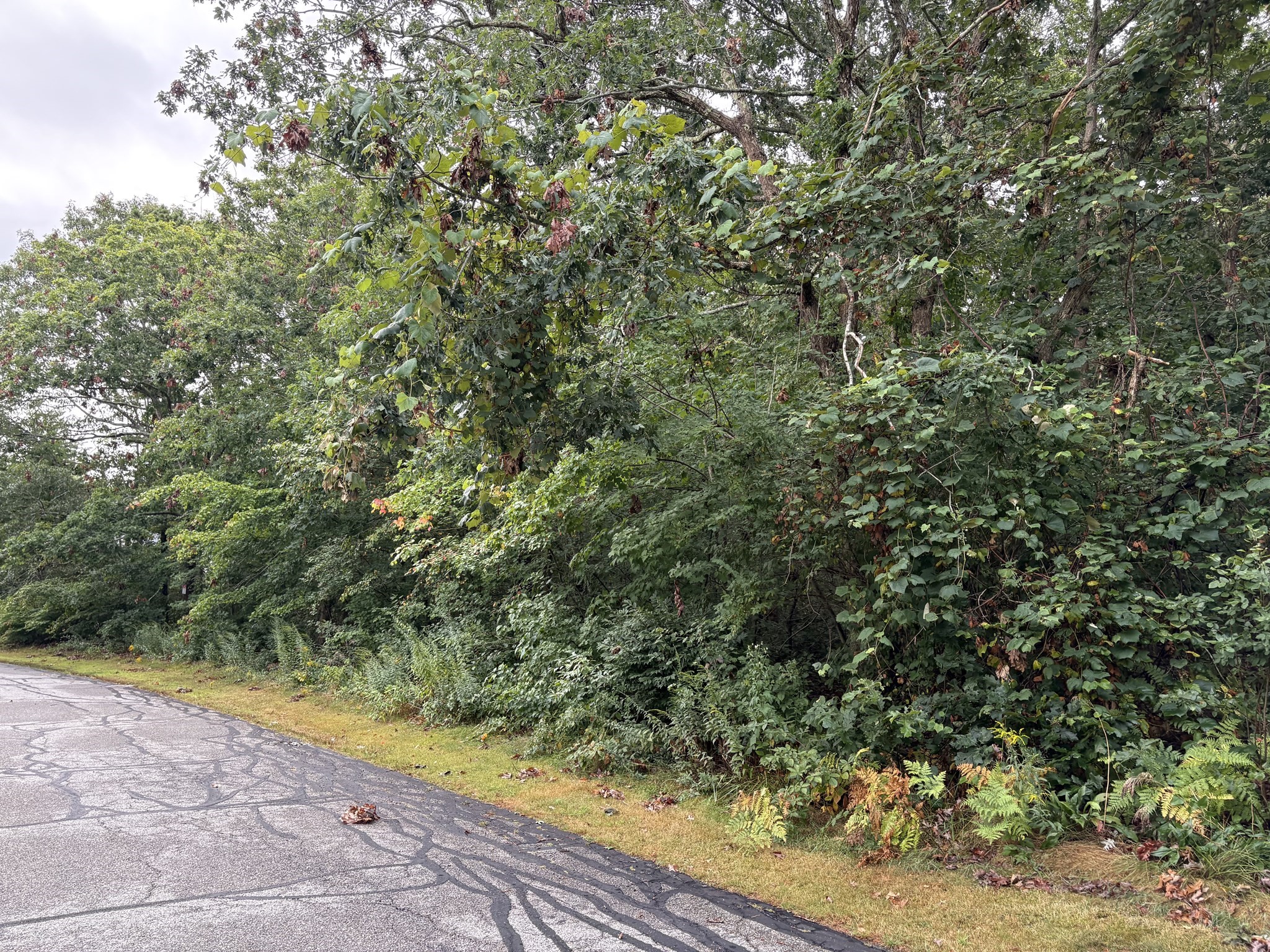 360 Plymouth St, Holbrook, MA 02343 - Image 13