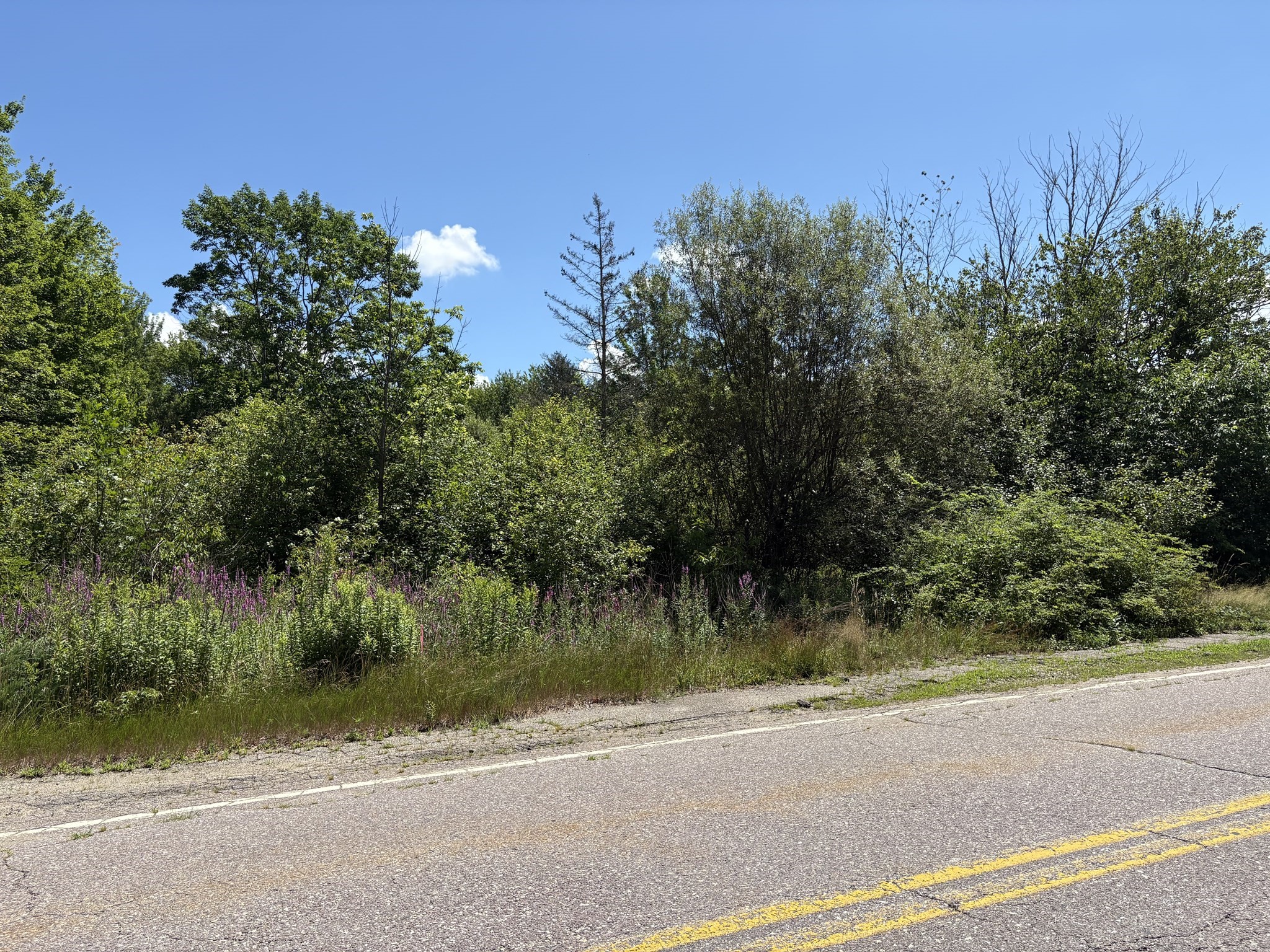 360 Plymouth St, Holbrook, MA 02343 - Image 4