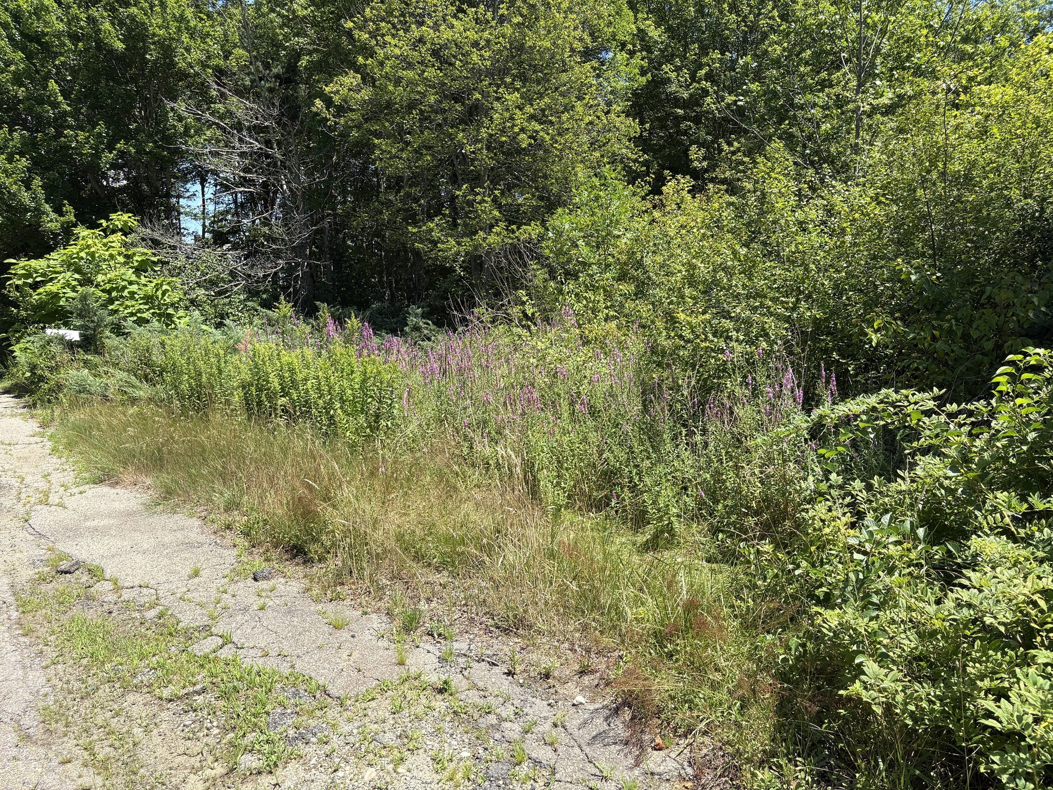 360 Plymouth St, Holbrook, MA 02343 - Image 5