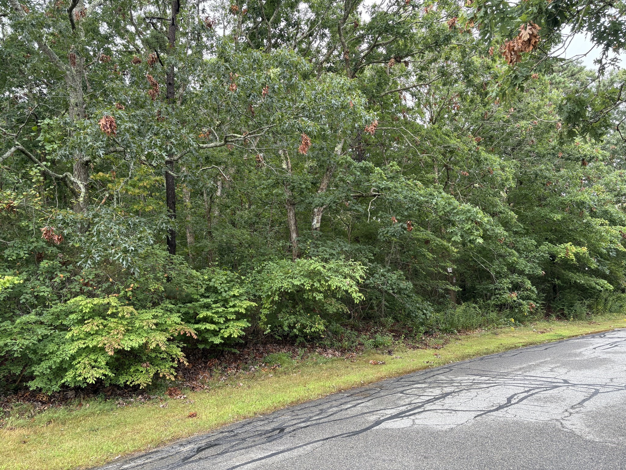 360 Plymouth St, Holbrook, MA 02343 - Image 10