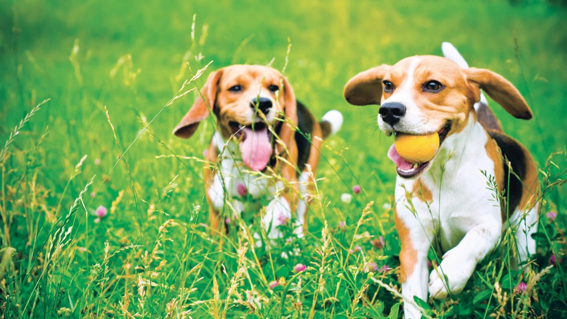 19 Fairway Lane Unit 53, Lynnfield, MA 01940 - Image 8