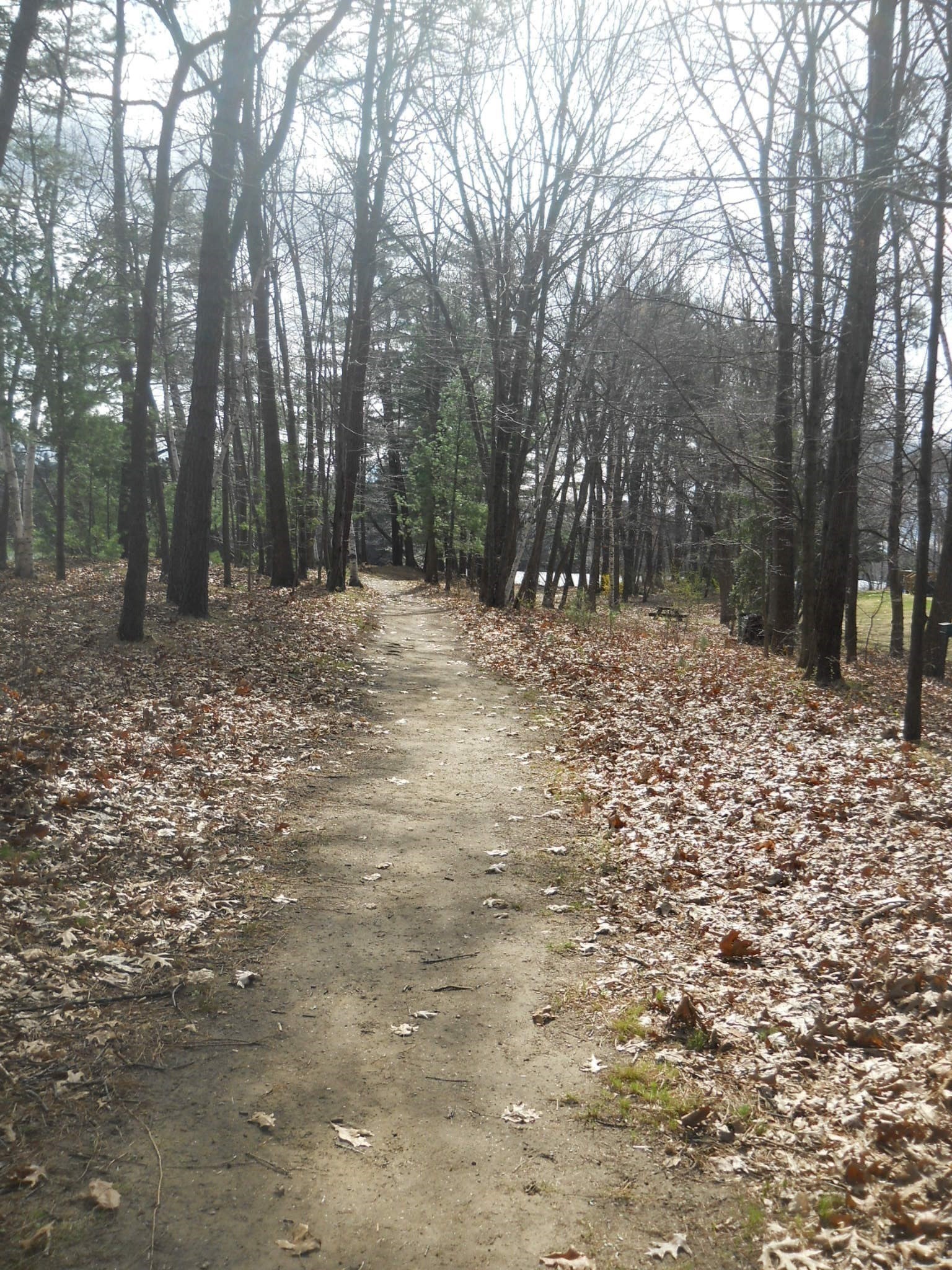 863 Wellman Ave. Unit 863, Chelmsford, MA 01863 - Image 36