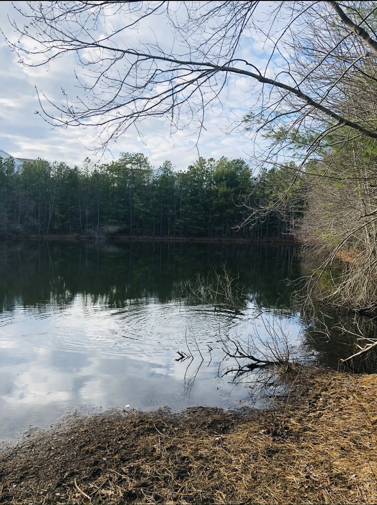 1501 Old Bridge Ln Unit 1501, Bellingham, MA 02019 - Image 41