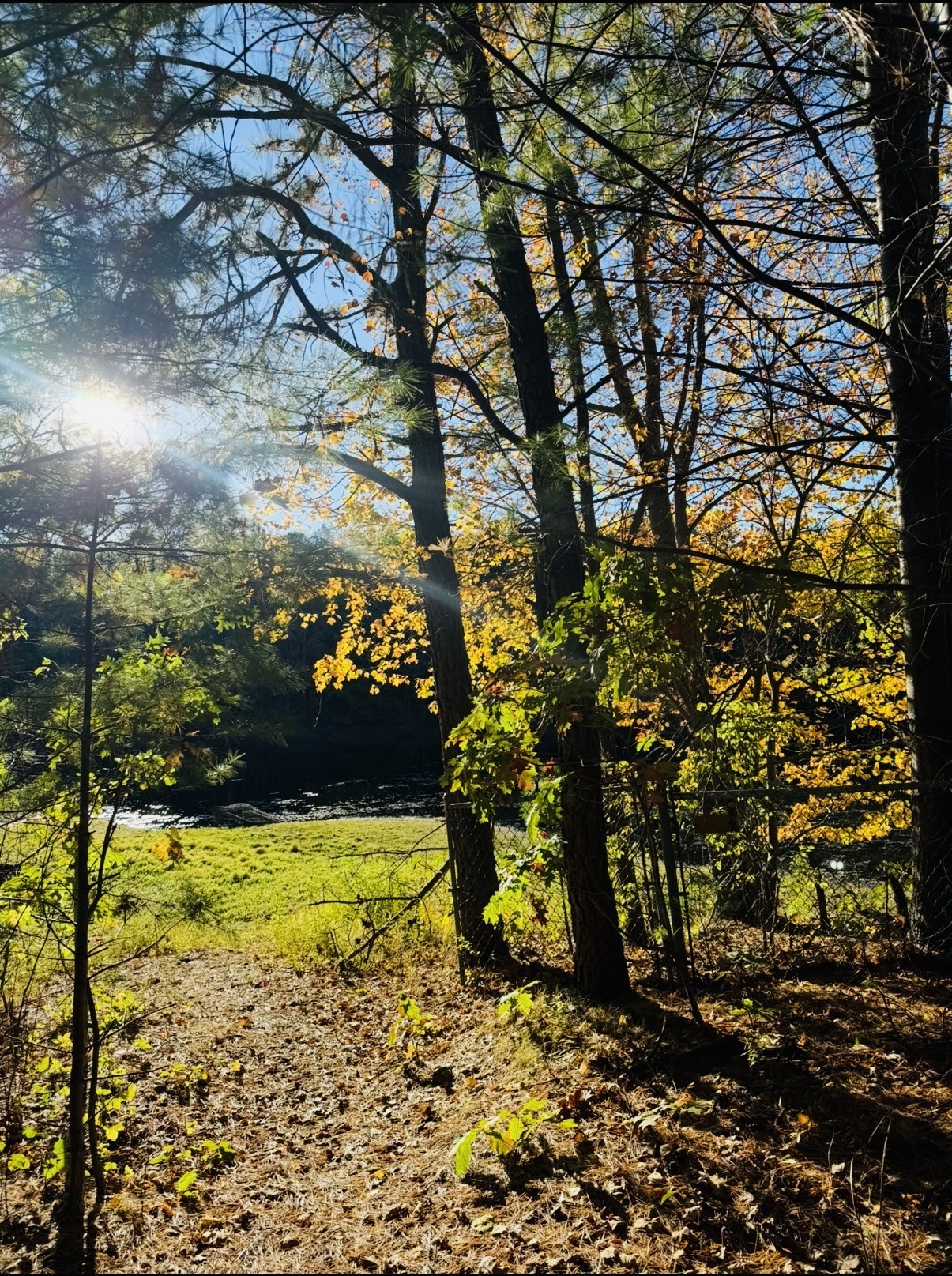 1501 Old Bridge Ln Unit 1501, Bellingham, MA 02019 - Image 42