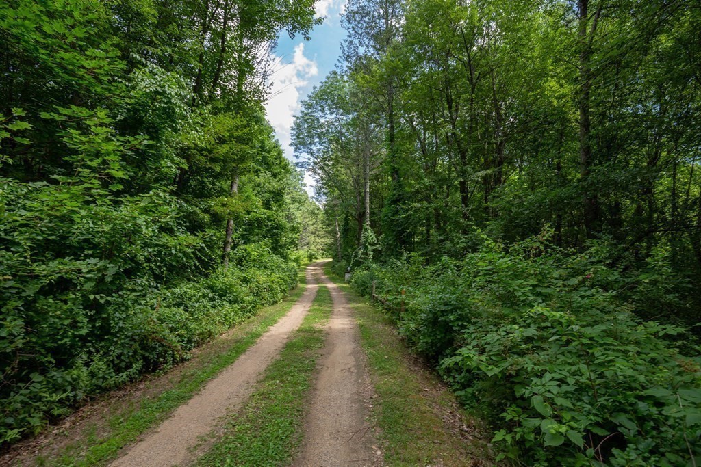 217 Grove St, Paxton, MA 01612 - Image 11