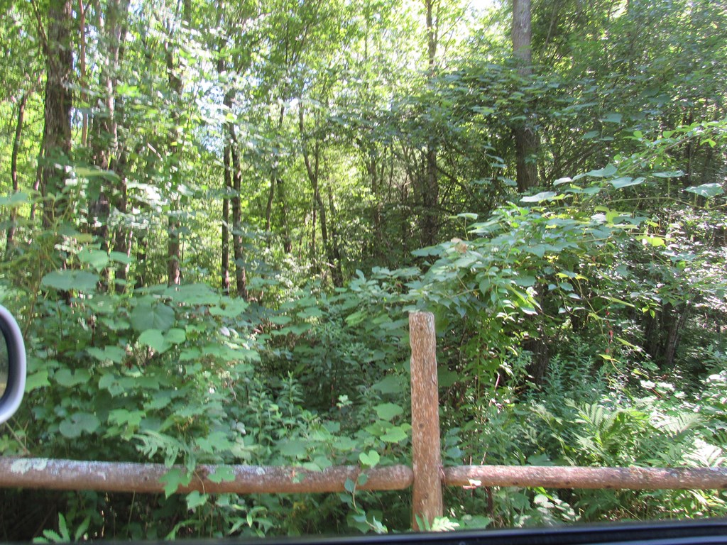 217 Grove St, Paxton, MA 01612 - Image 21