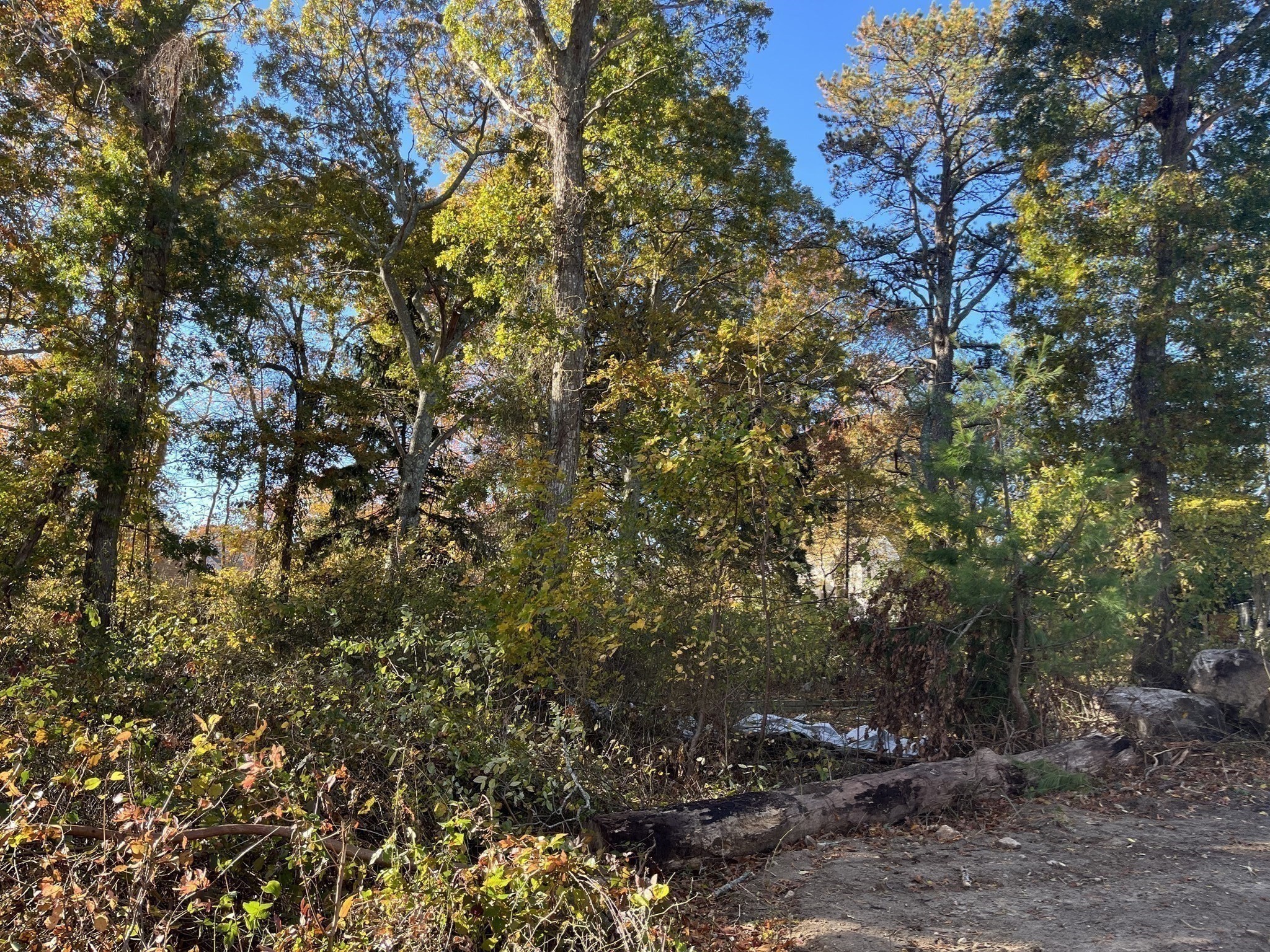 0 Stoneledge Road, Dartmouth, MA 02748 - Image 5