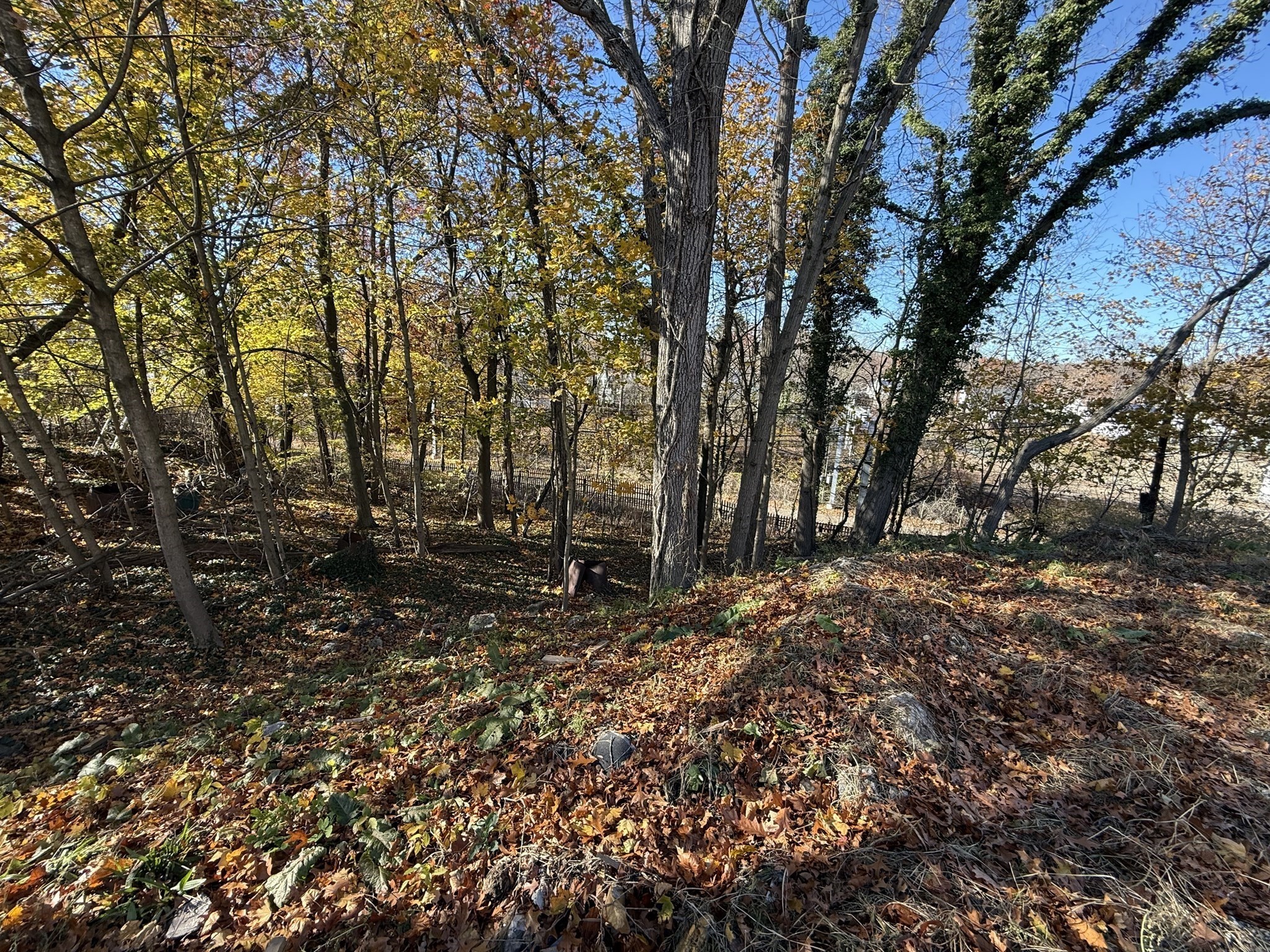 1139 Hyde Park Ave, Hyde Park, Boston, MA 02136 - Image 12