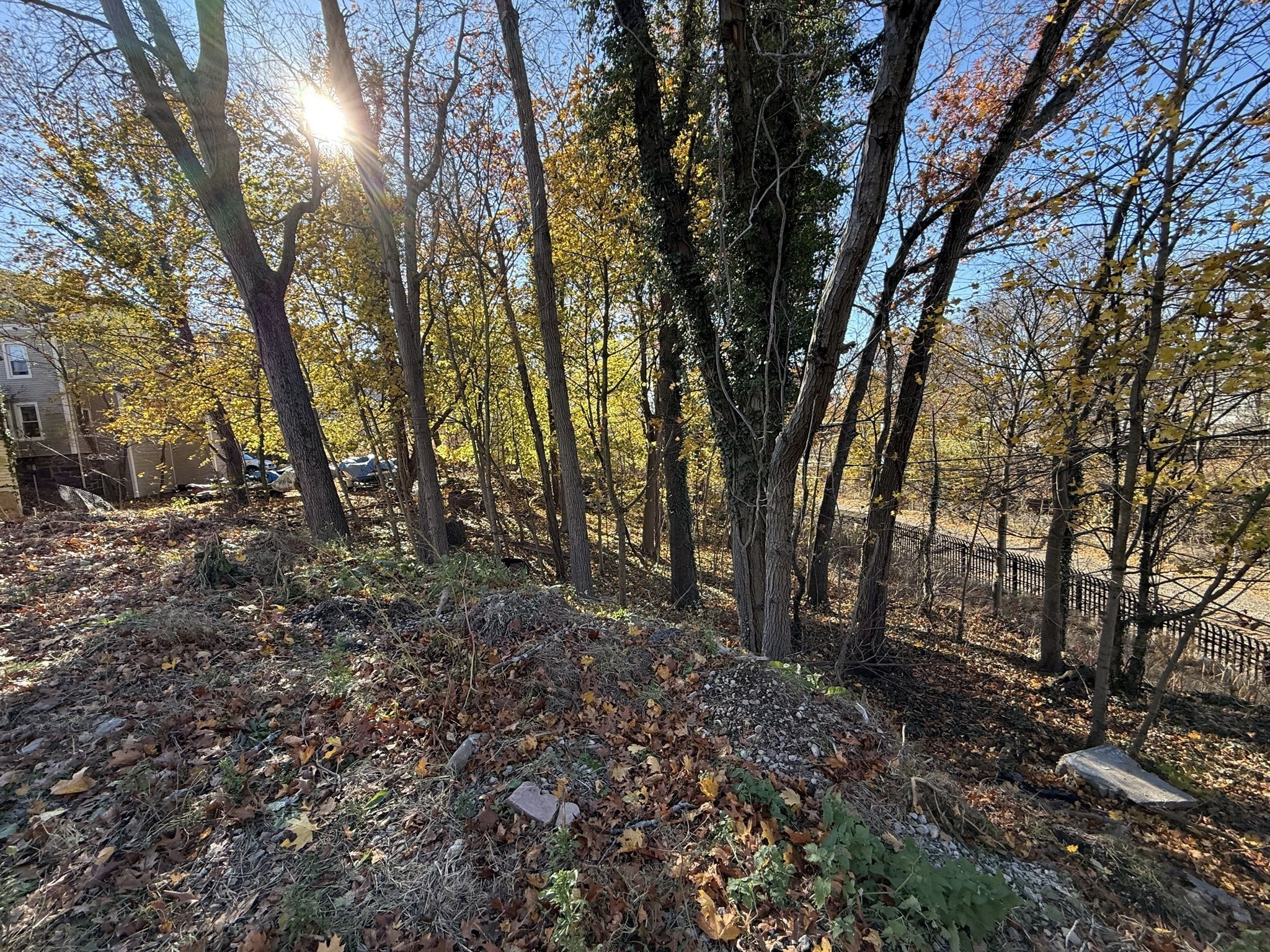 1139 Hyde Park Ave, Hyde Park, Boston, MA 02136 - Image 7