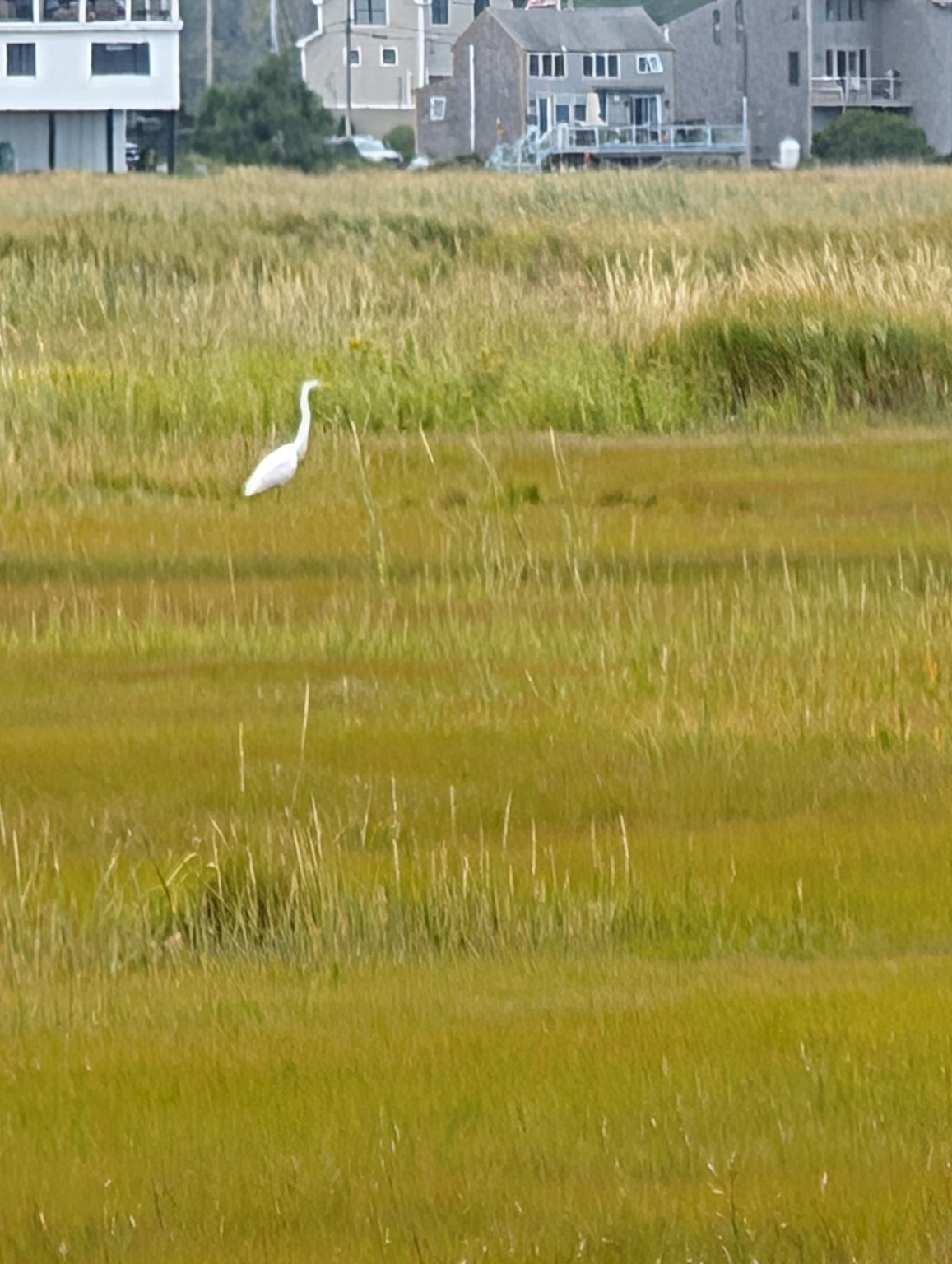 44 Old Point, Newbury, MA 01951 - Image 8