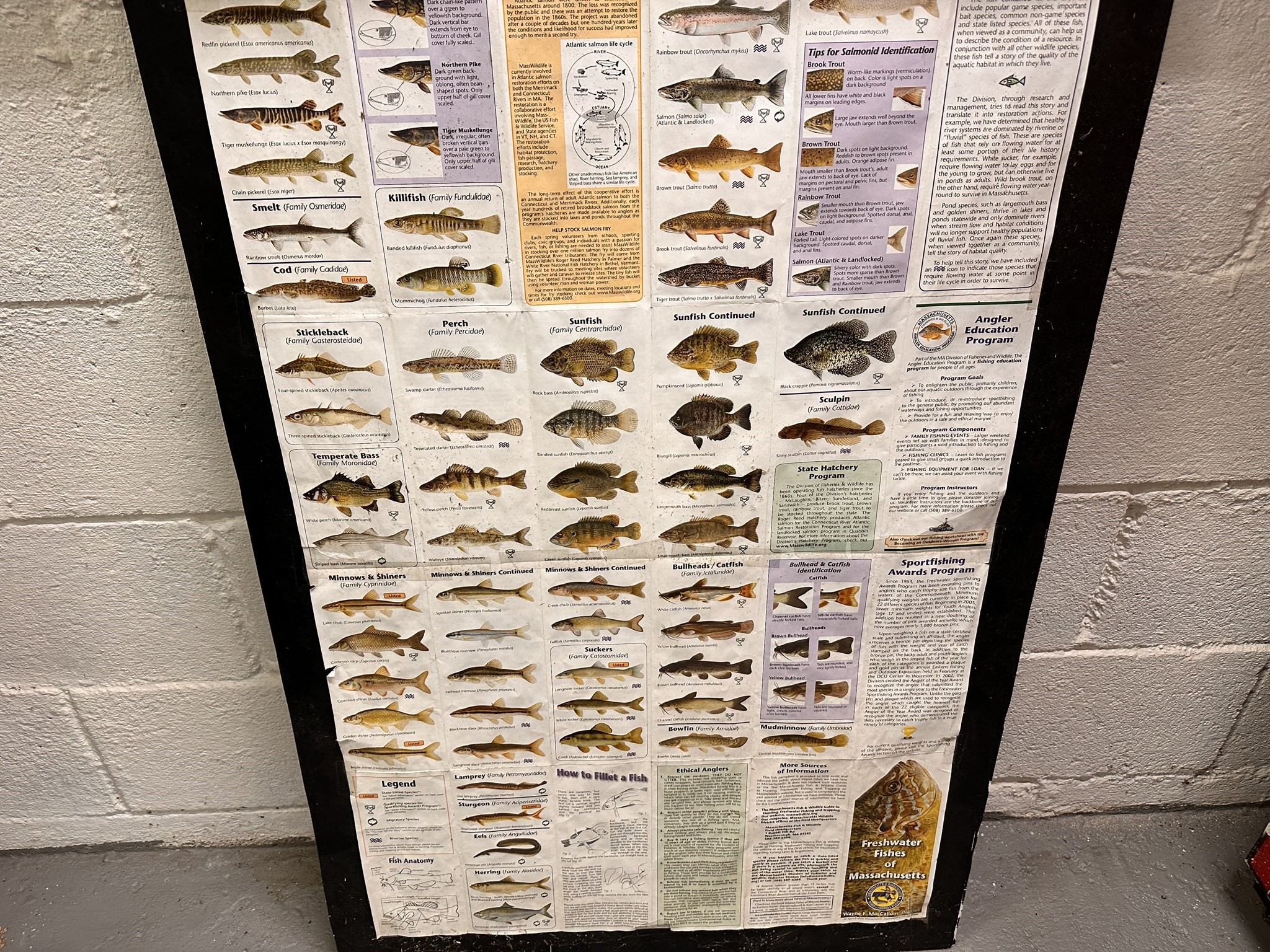 1131 East St, Ludlow, MA 01056 - Image 12