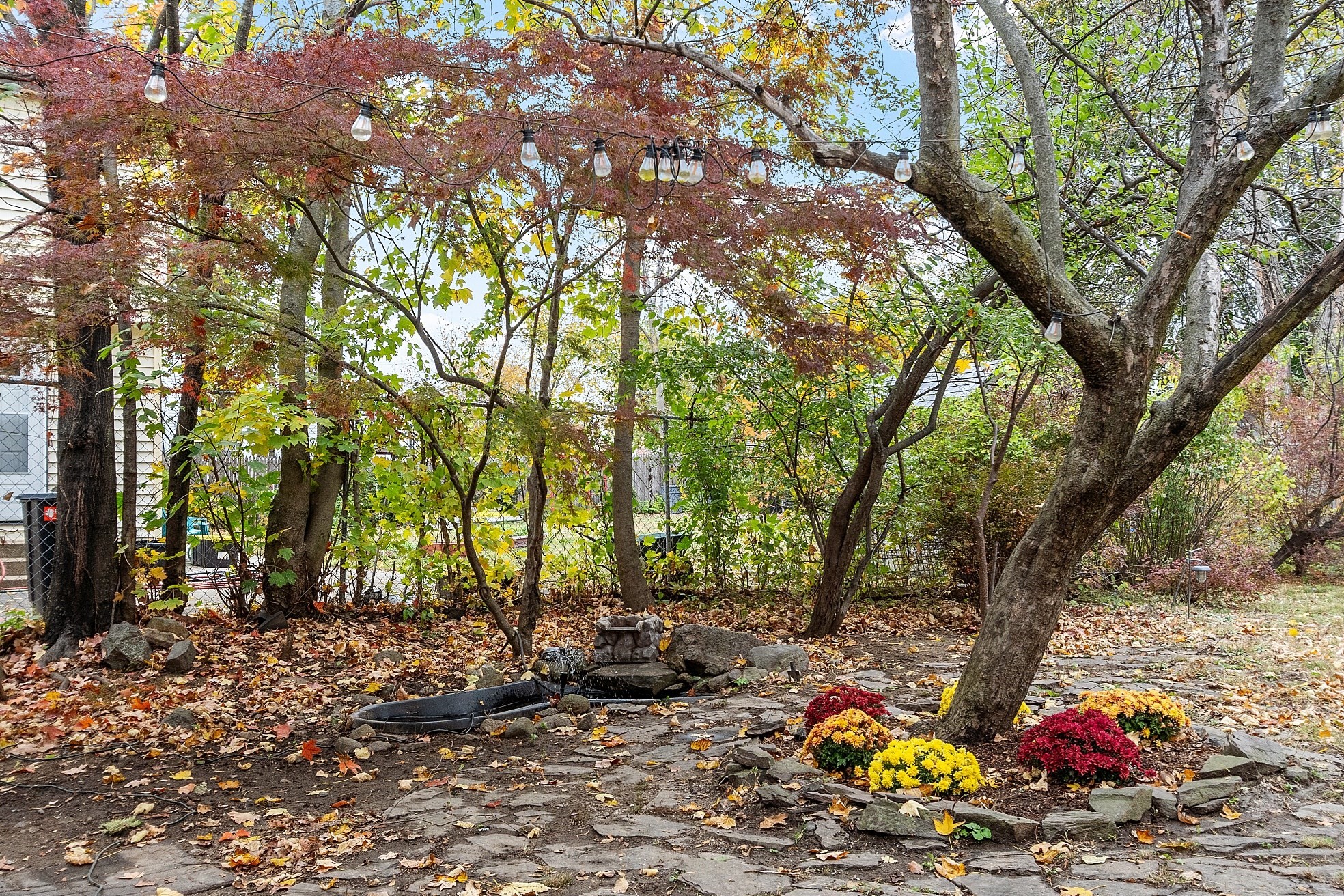 17 Edson St, Lowell, MA 01851 - Image 6