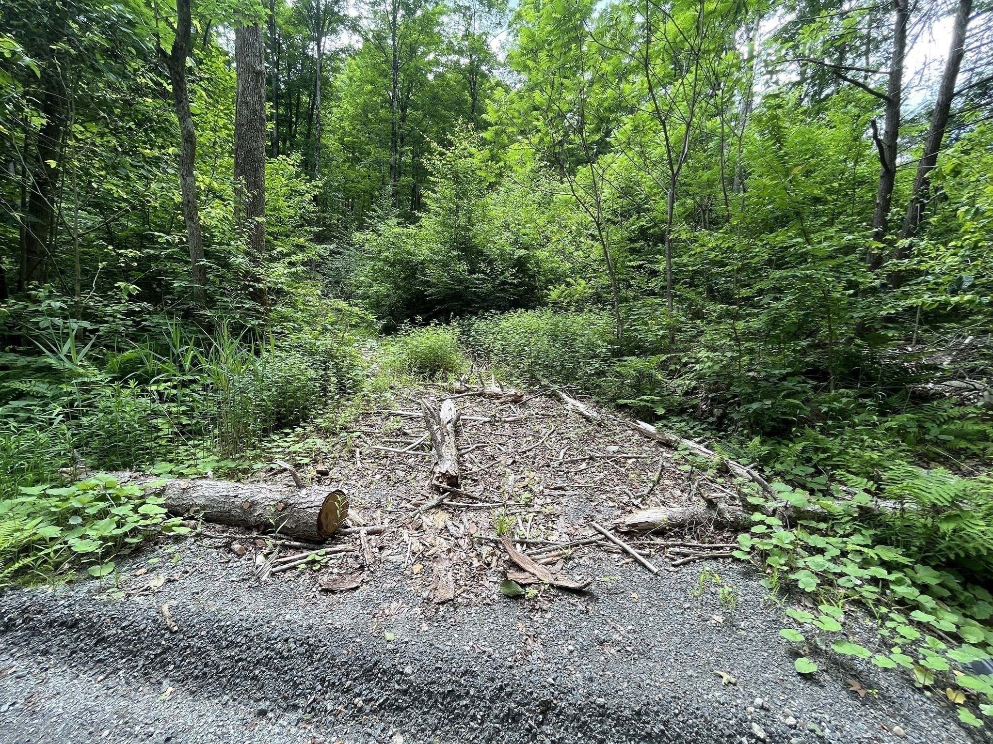 0 Goss Hill Road/kimball Road, Huntington, MA 01050 - Image 3