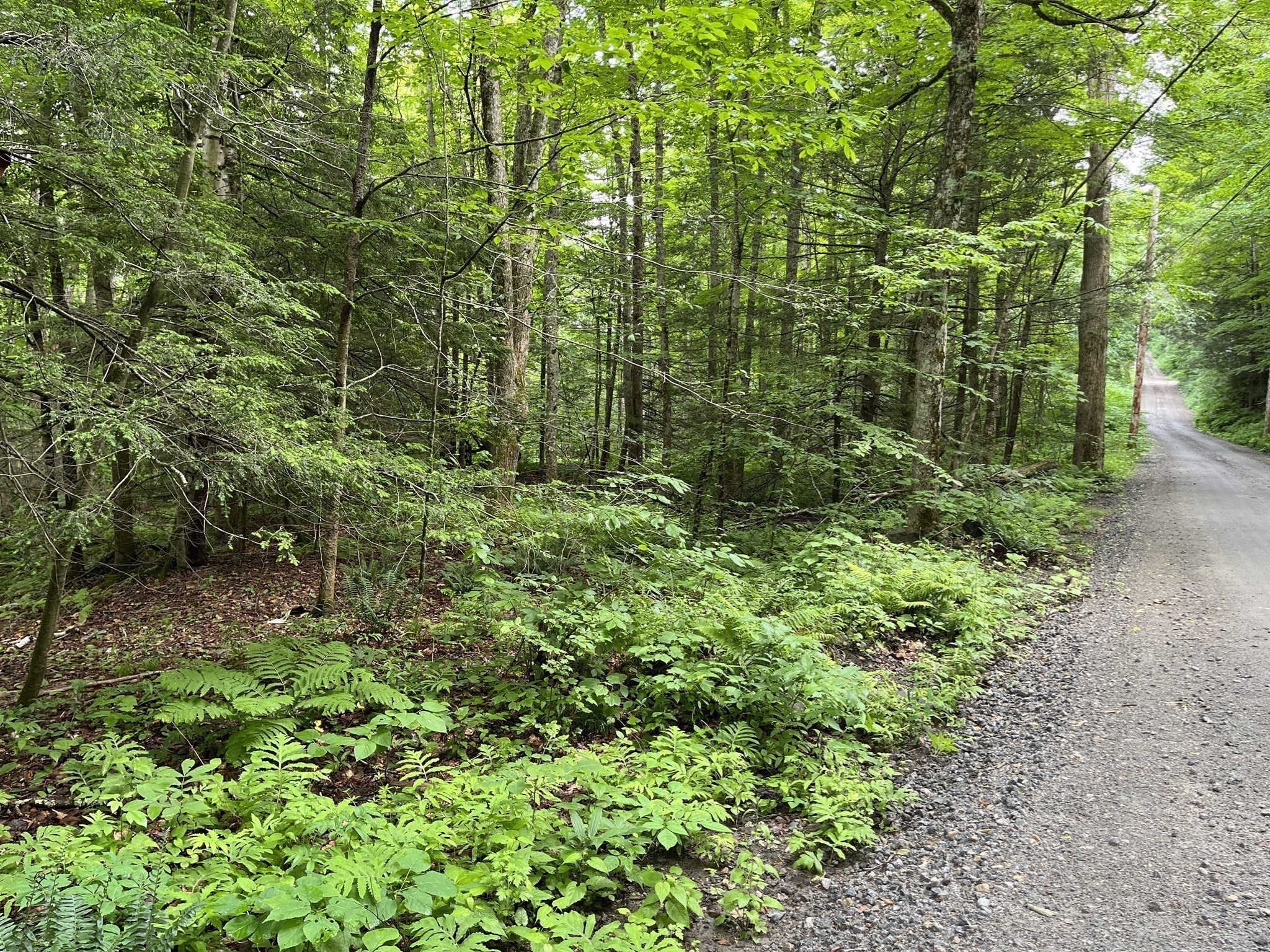 0 Goss Hill Road/kimball Road, Huntington, MA 01050 - Image 4