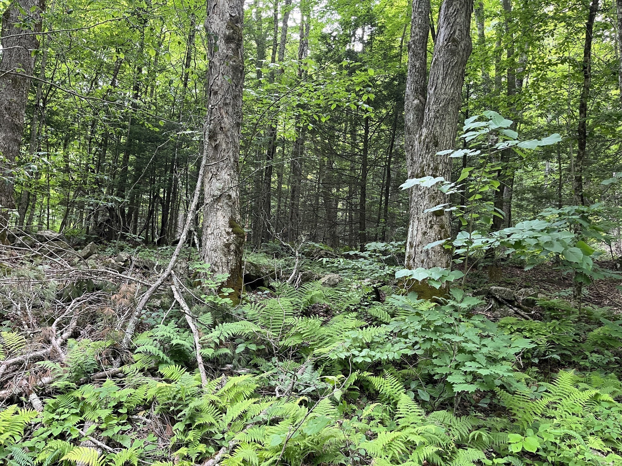 0 Goss Hill Road/kimball Road, Huntington, MA 01050 - Image 5