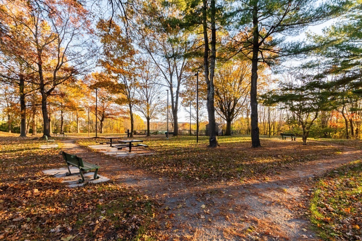 87 Sunnyside St Unit 87, Hyde Park, Boston, MA 02136 - Image 11