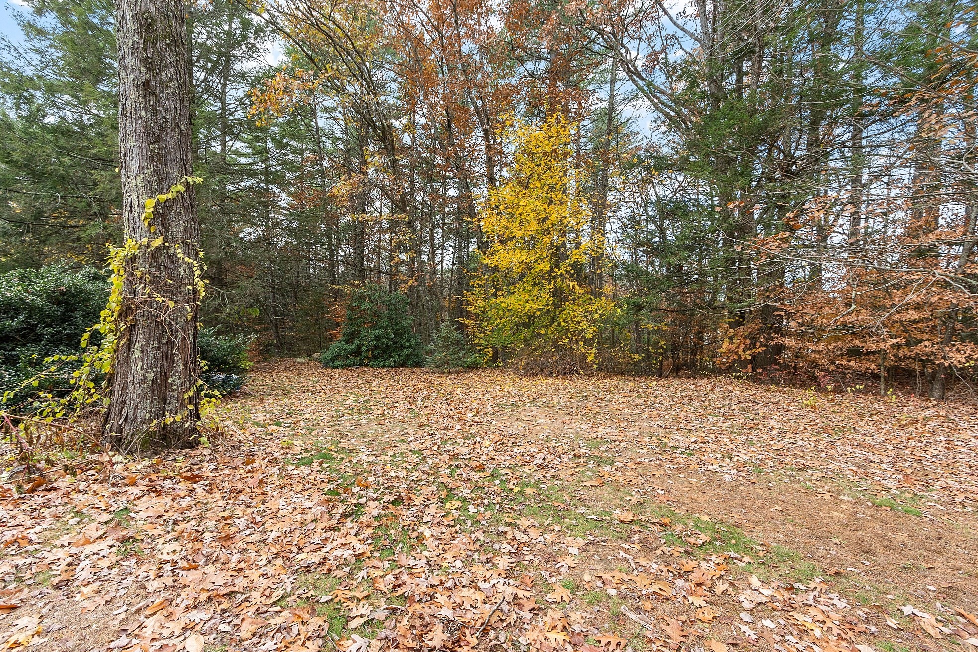 321 Doe Valley Rd, Athol, MA 01331 - Image 5