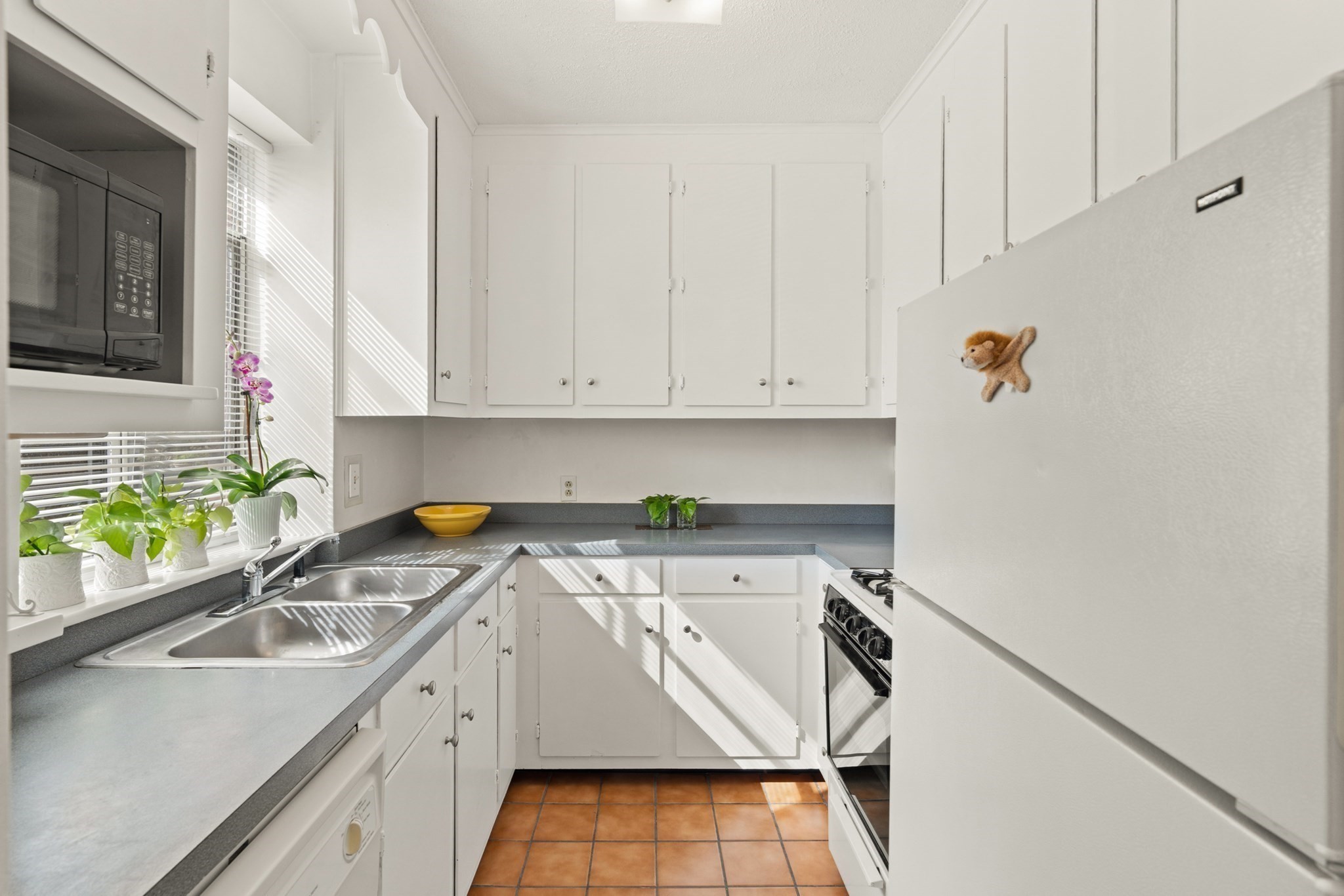 97 Strathmore Rd Unit 4, Brighton, Boston, MA 02135 - Image 8