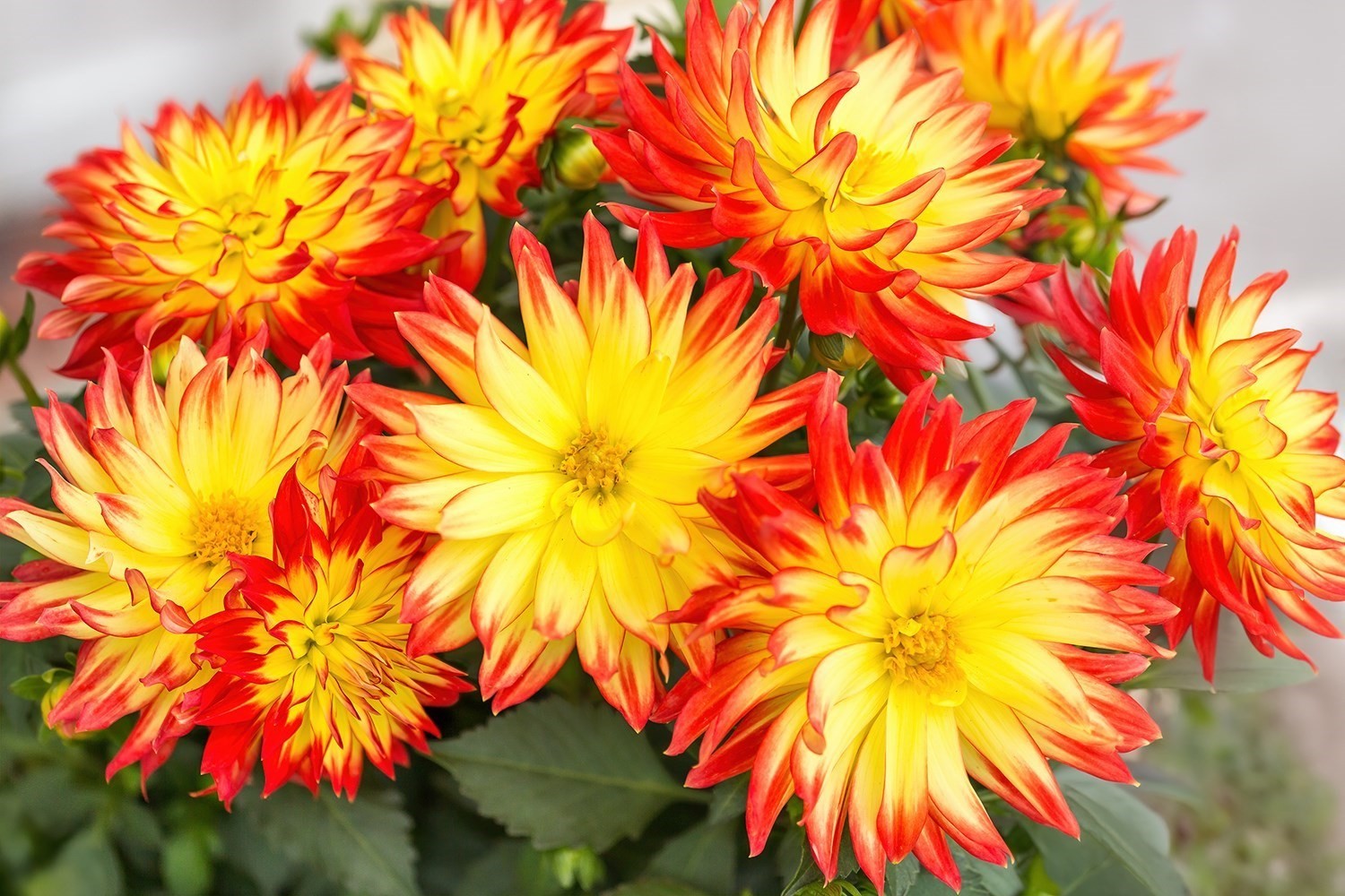 96 Indian Hill Road, Worcester, MA 01606 - Image 15