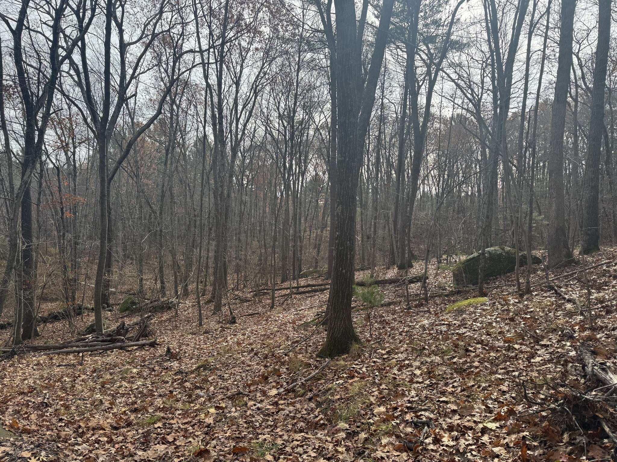 74 Warren Street, Upton, MA 01568 - Image 2