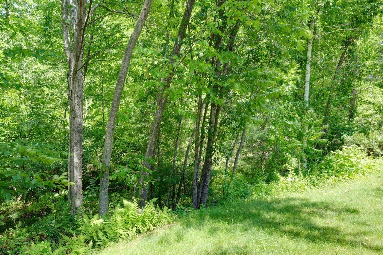 89 Buttercup Lane Unit 255, Grafton, MA 01560 - Image 39