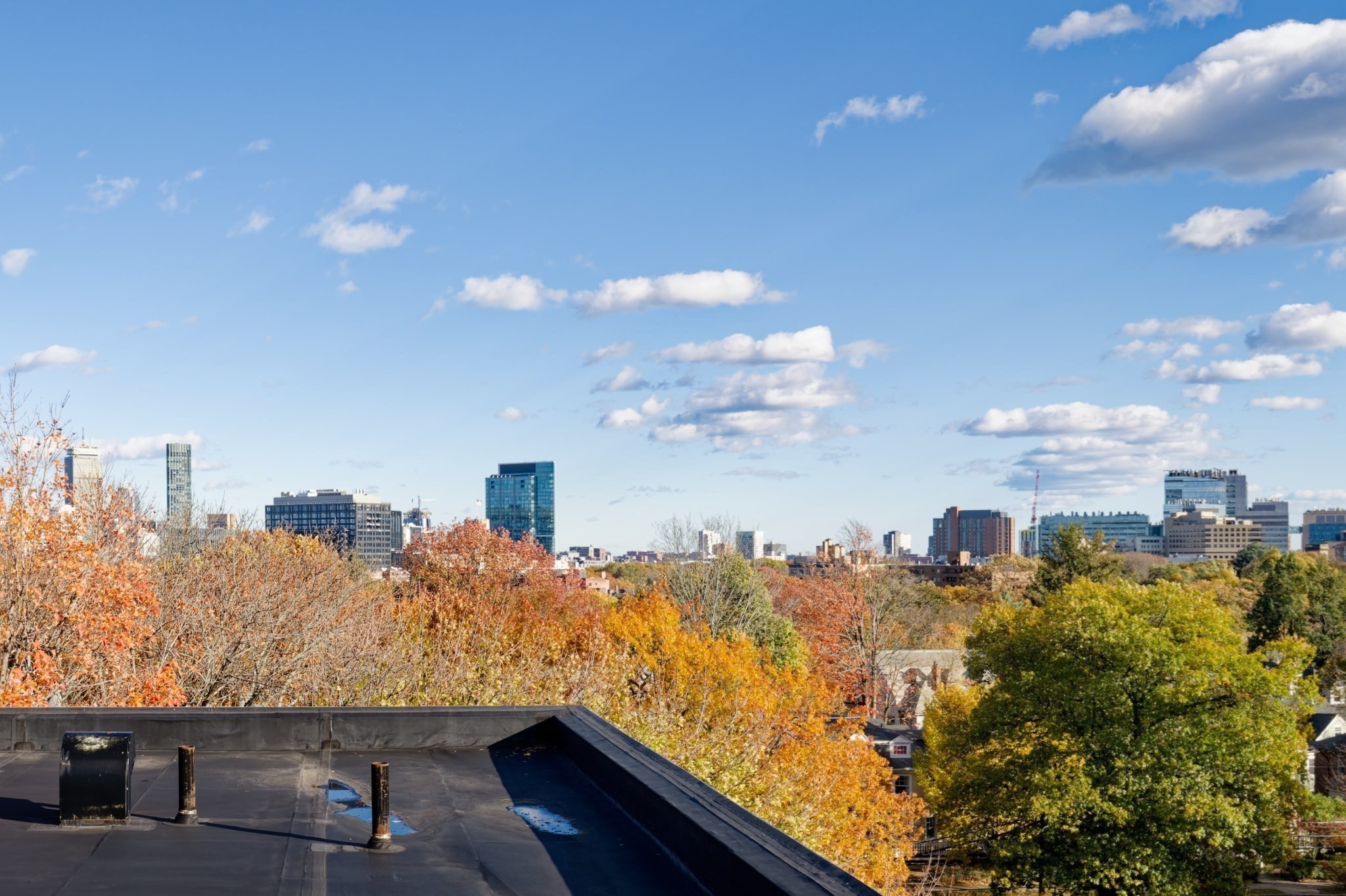 125 Pleasant St Unit 201, Brookline, MA 02446 - Image 33