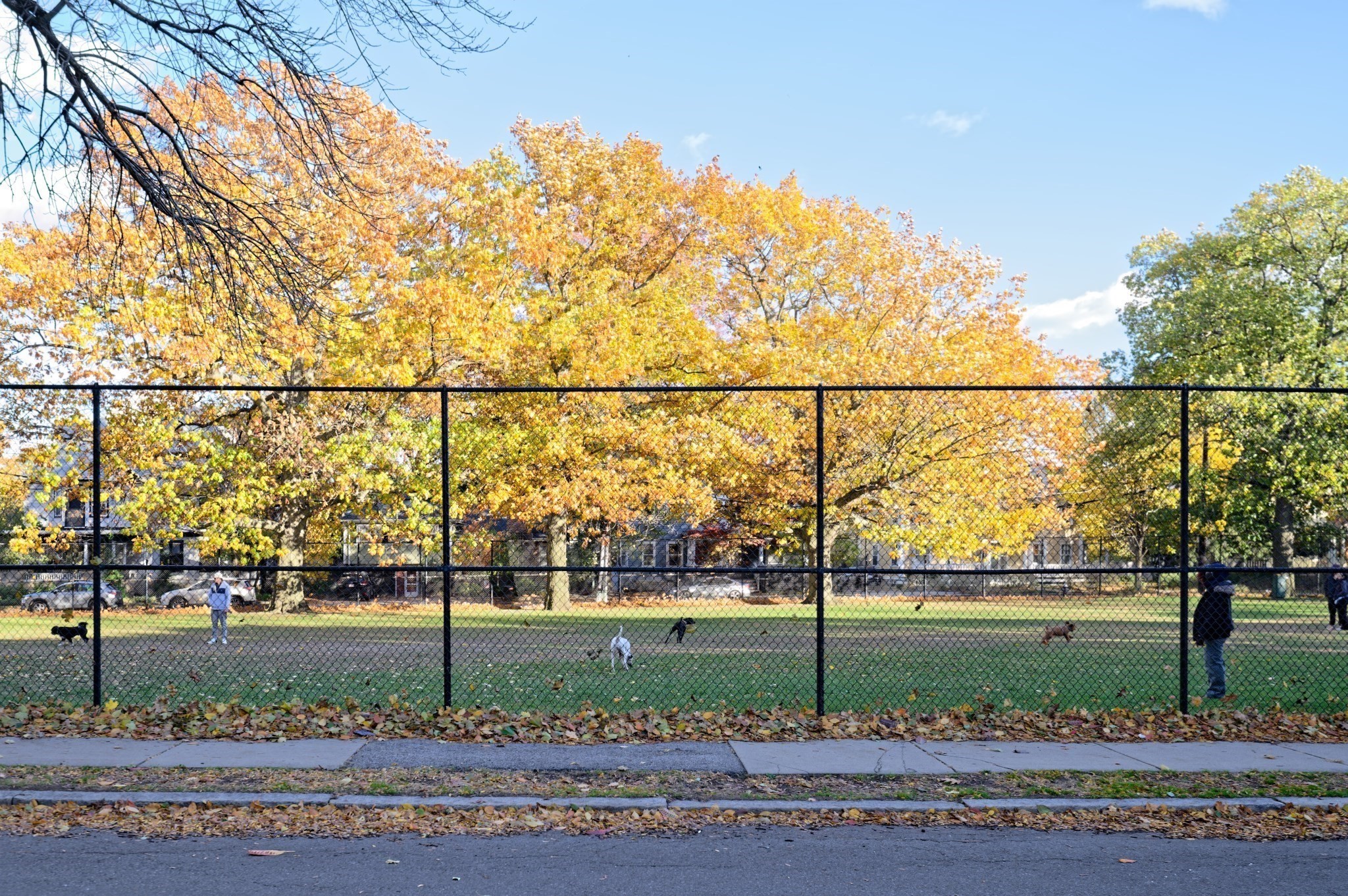 125 Pleasant St Unit 201, Brookline, MA 02446 - Image 42