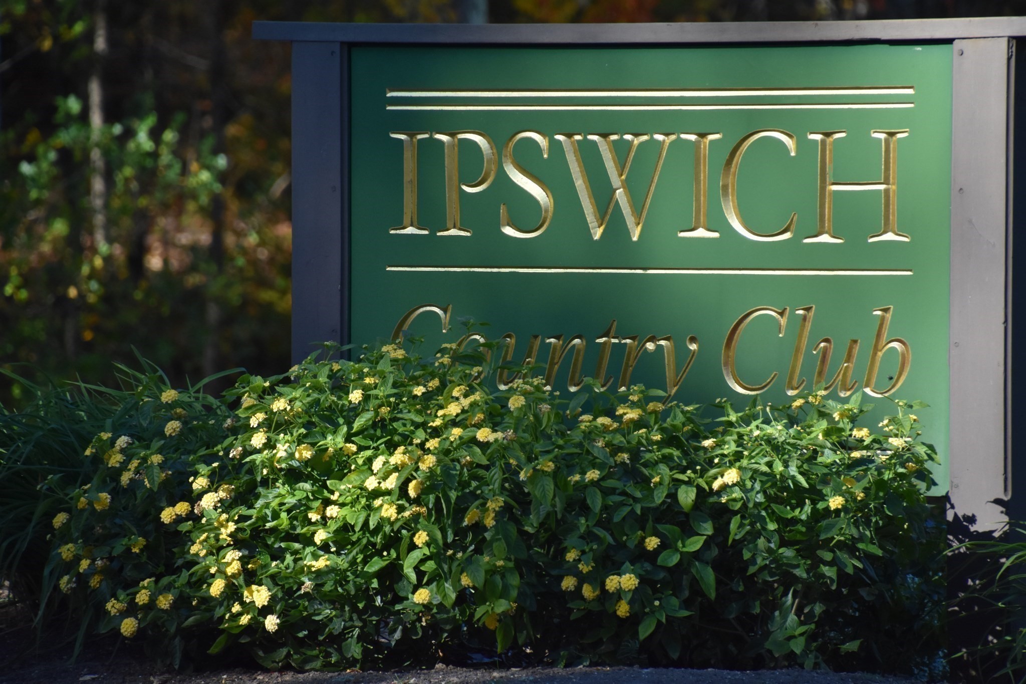 196 Country Club Way, Ipswich, MA 01938 - Image 8