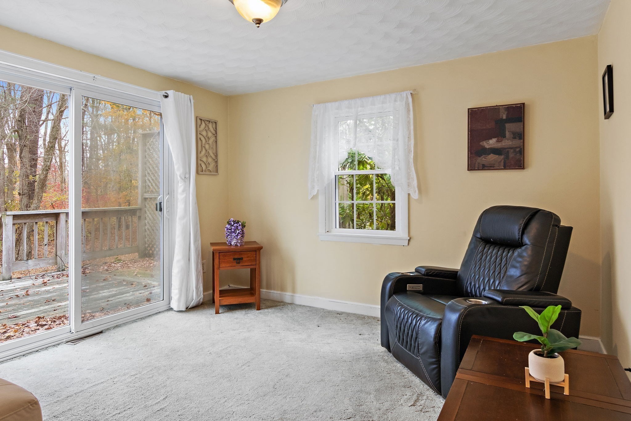 214 Conlyn Ave, Franklin, MA 02038 - Image 13