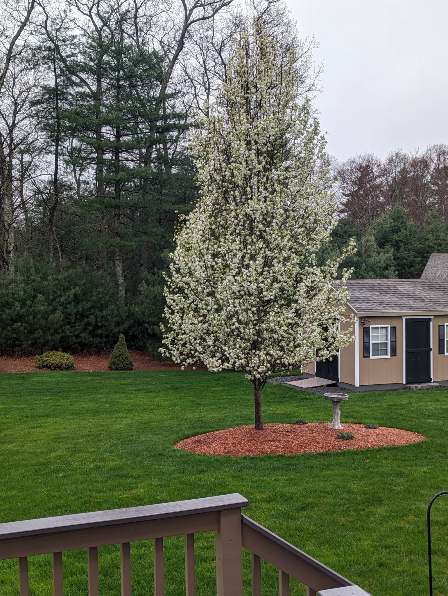 154 Appaloosa Way, Taunton, MA 02780 - Image 29