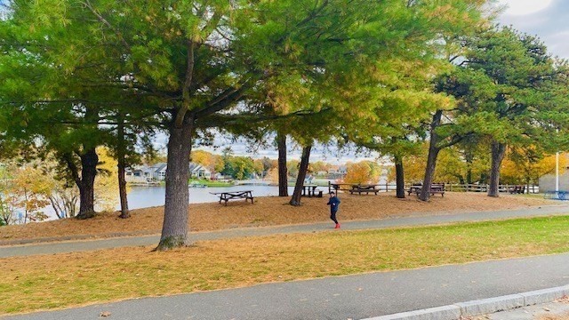 2 Touraine St, Worcester, MA 01604 - Image 34