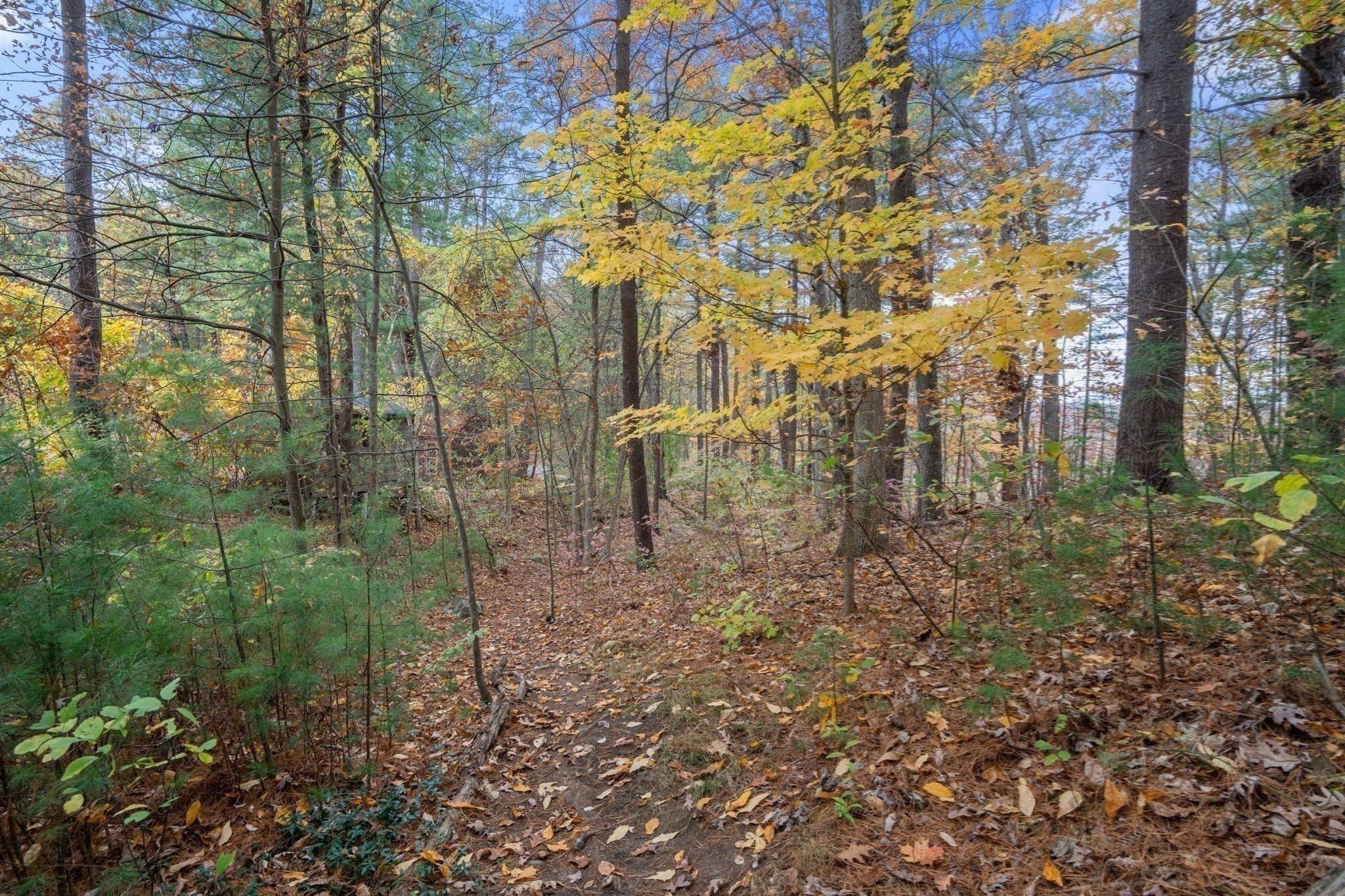 150 Dedham St, Dover, MA 02030 - Image 41