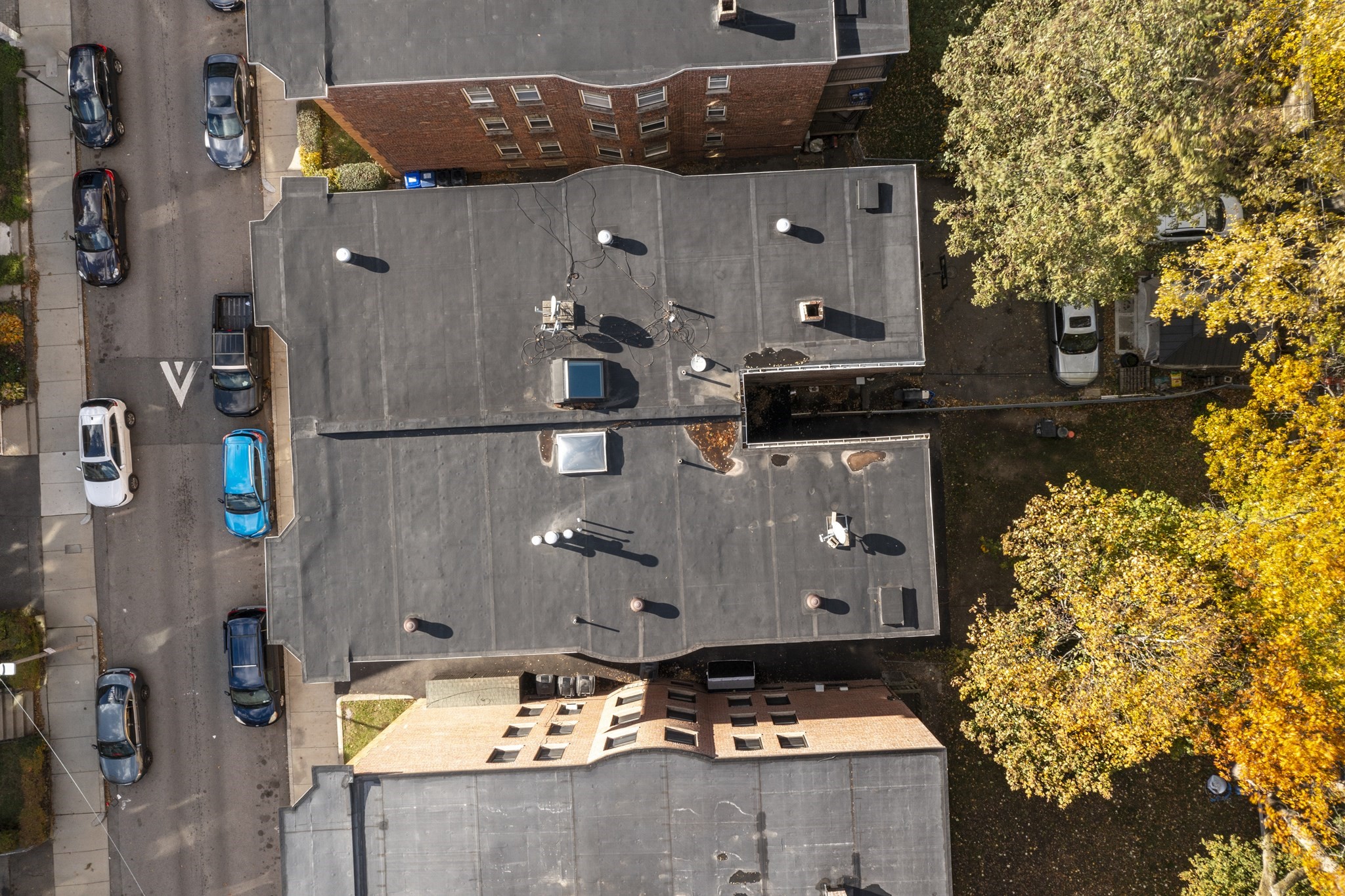 99 Harrishof St, Roxbury, Boston, MA 02121 - Image 37