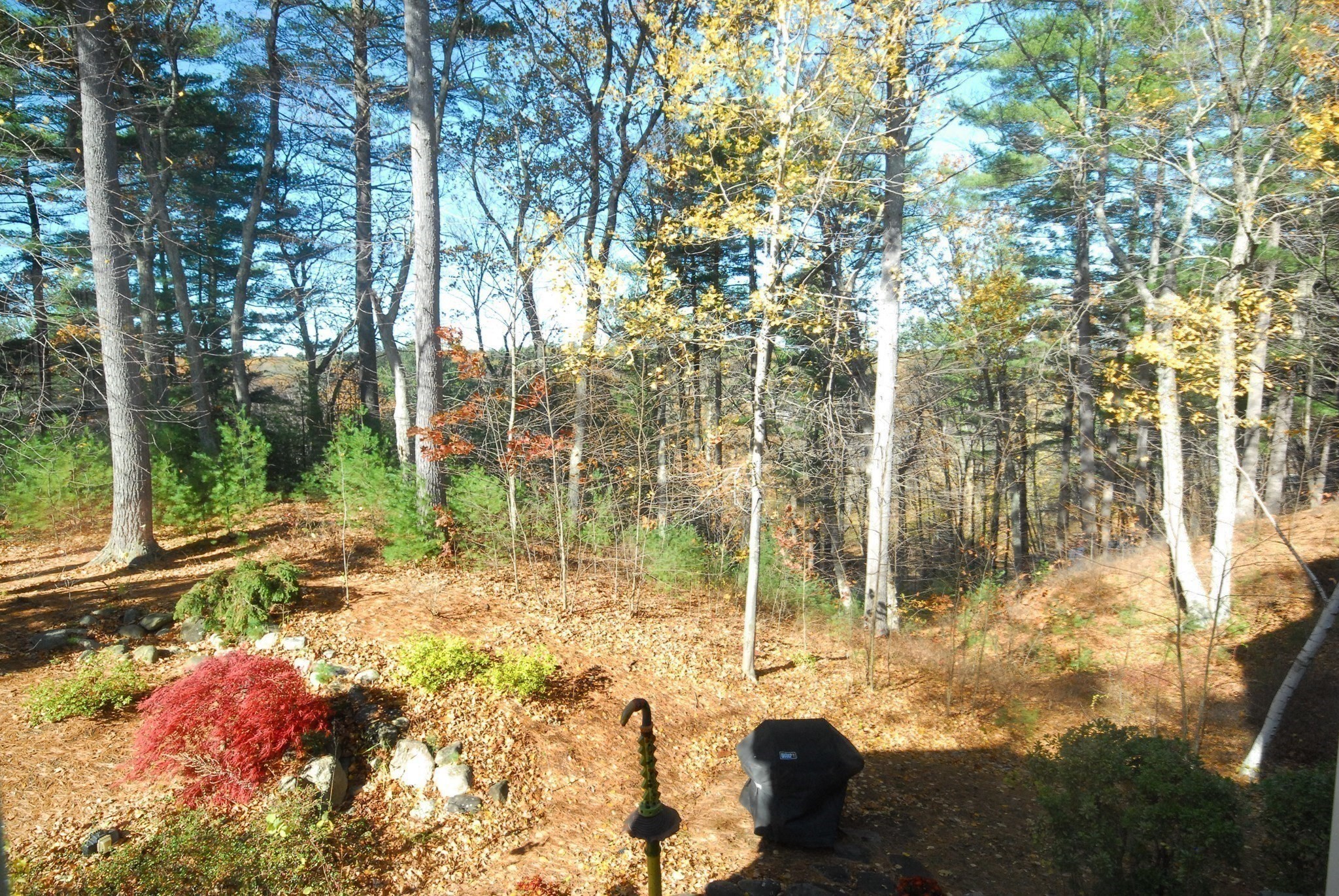 96 Forest Ridge Rd Unit 96, Concord, MA 01742 - Image 33